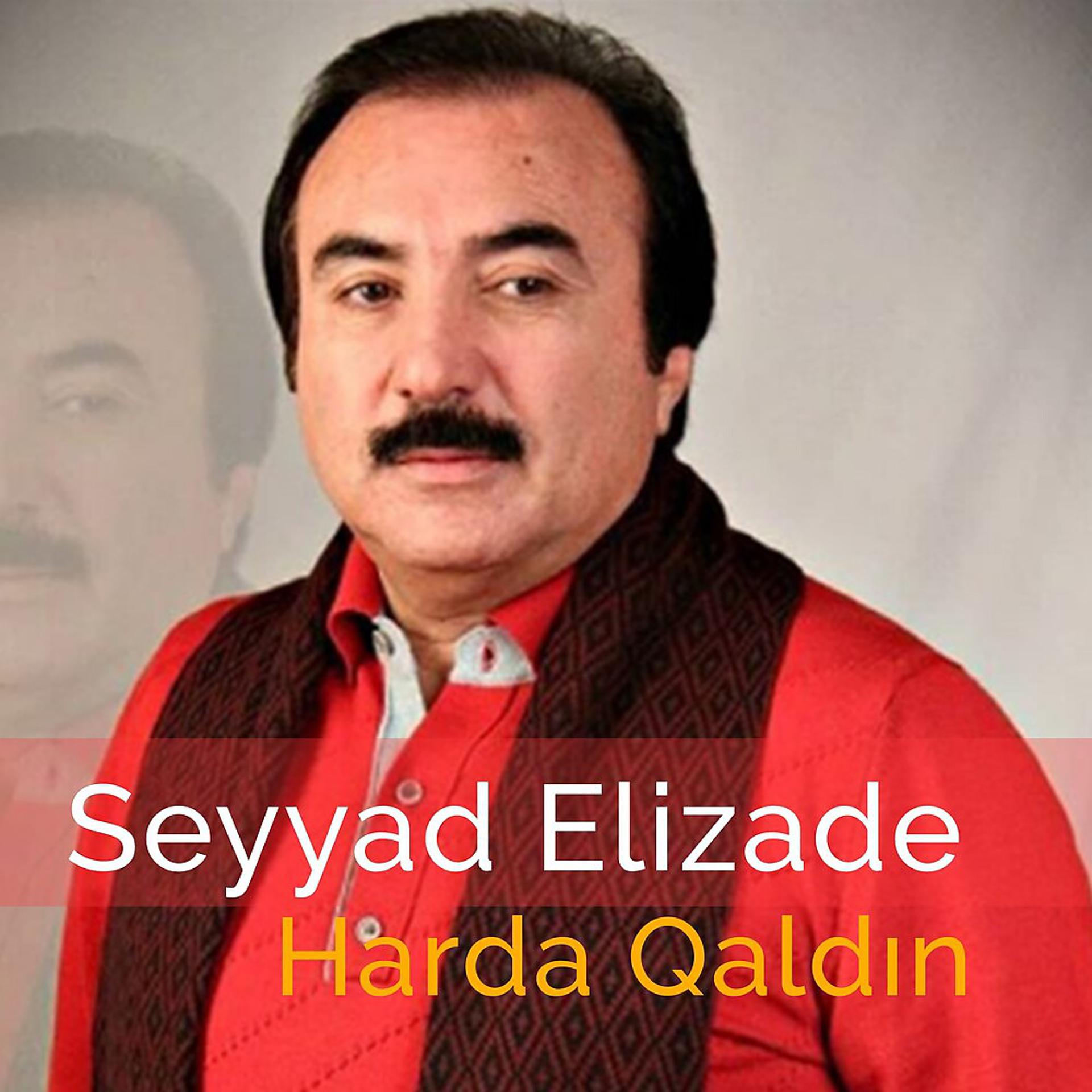 Постер альбома Harda Qaldın