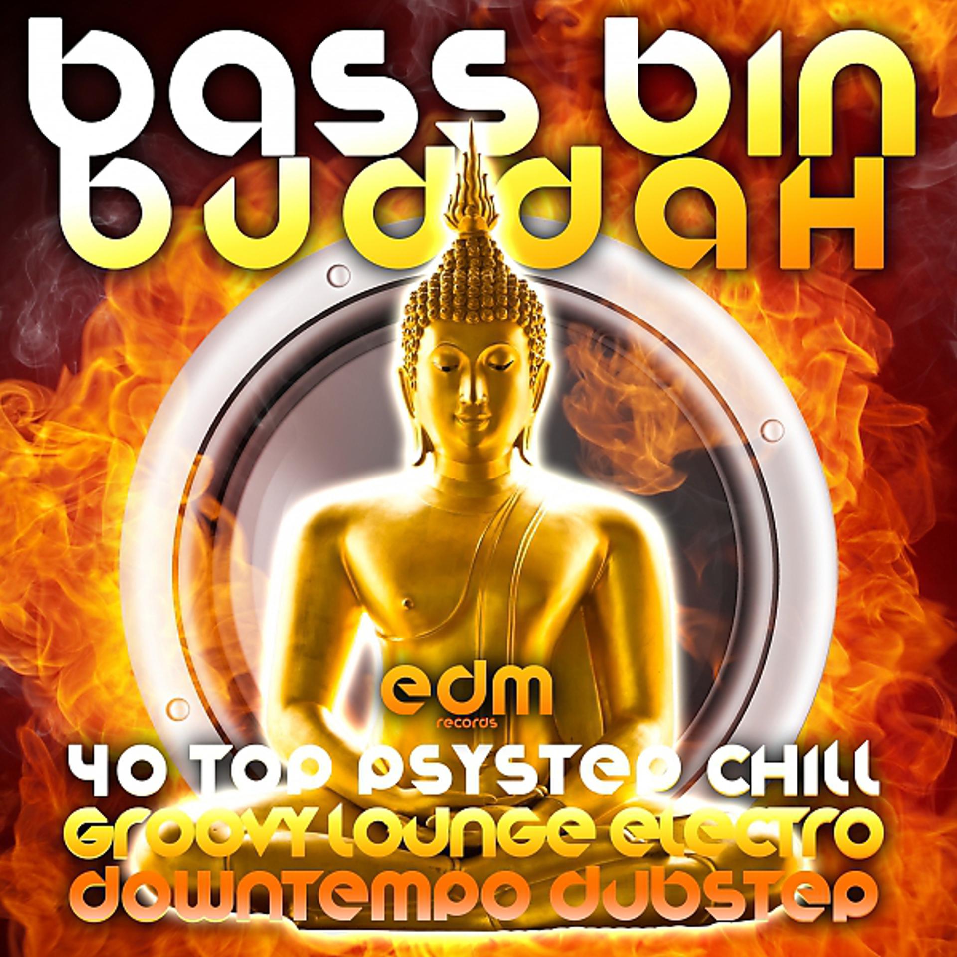 Постер альбома Bass Bin Buddah (40 Top Psystep, Groovy Lounge, Electro Chill, Downtempo Dubstep)