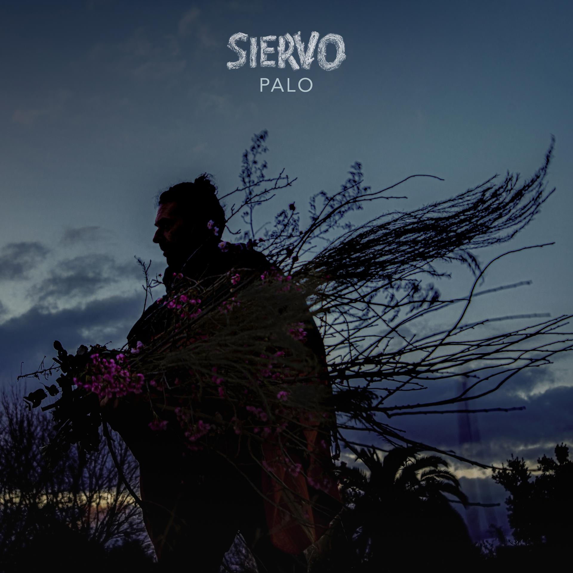 Постер альбома Siervo