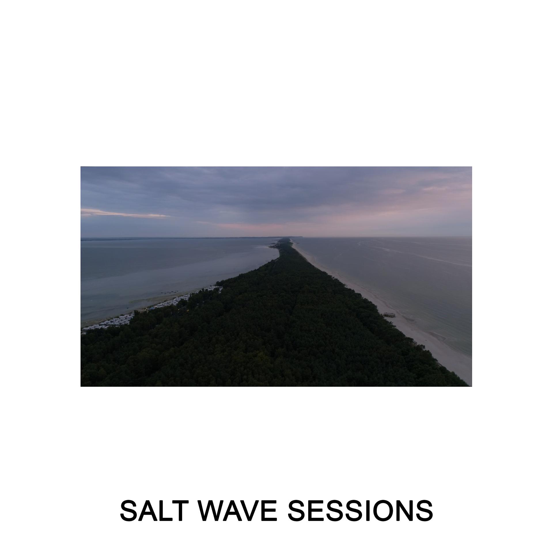 Постер альбома Salt Wave Sessions