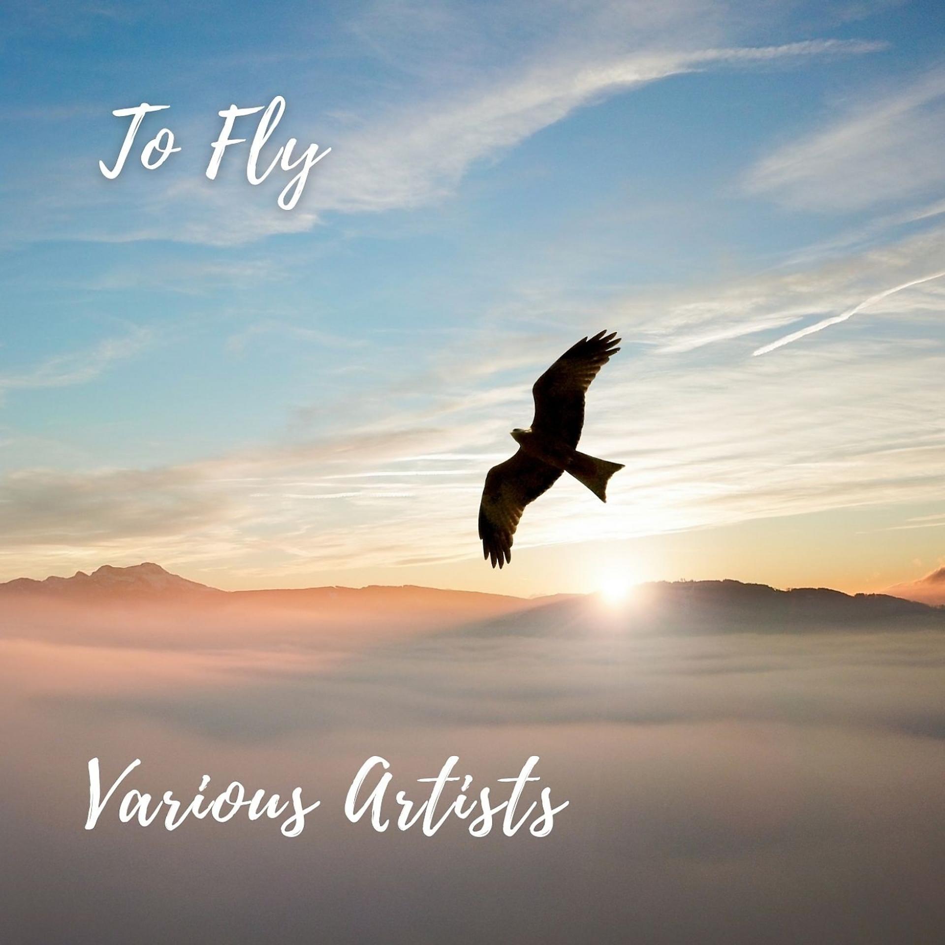 Постер альбома To Fly
