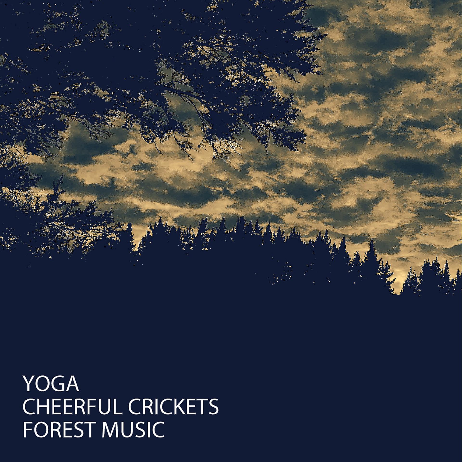 Постер альбома Yoga: Cheerful Crickets Forest Music