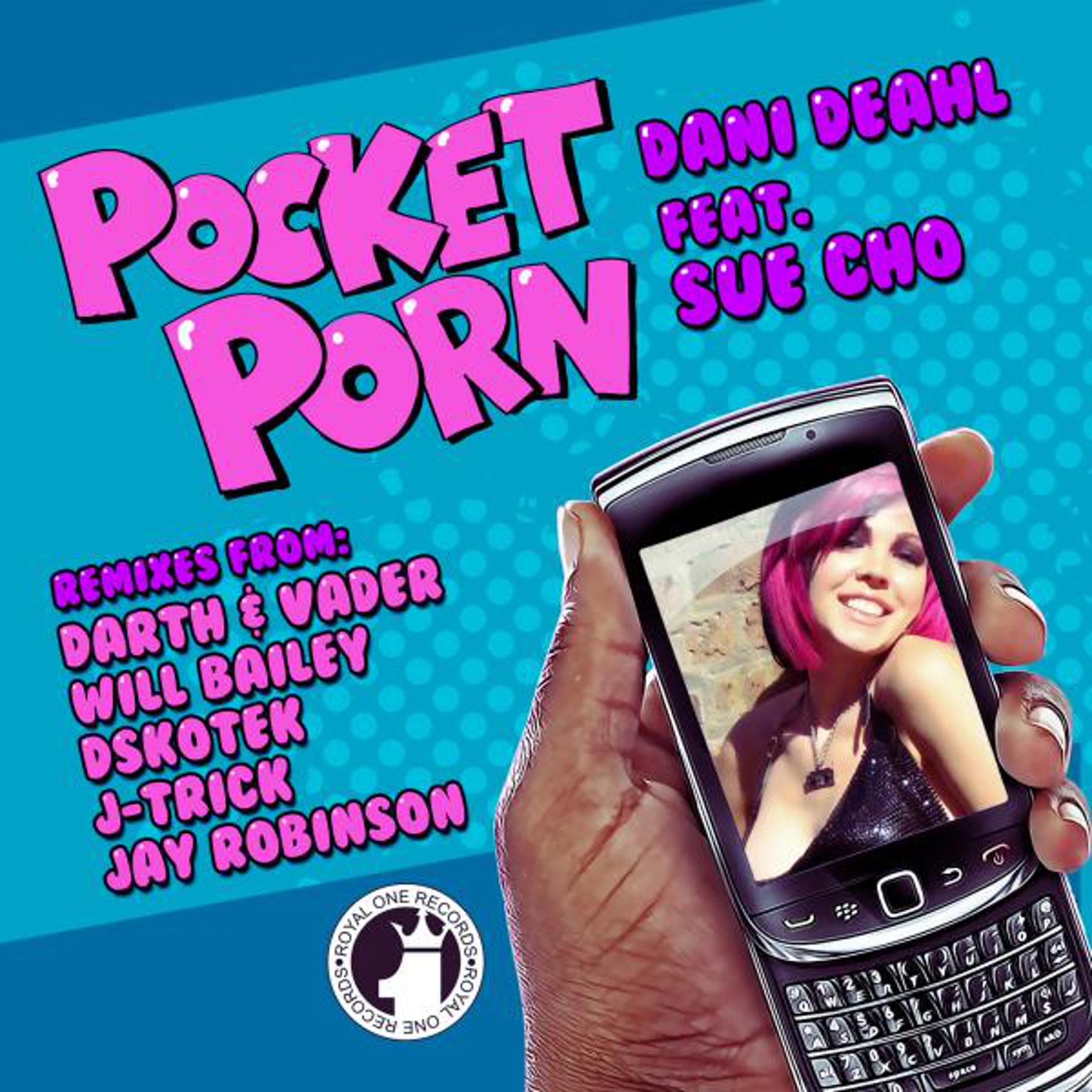 Постер альбома Pocket Porn
