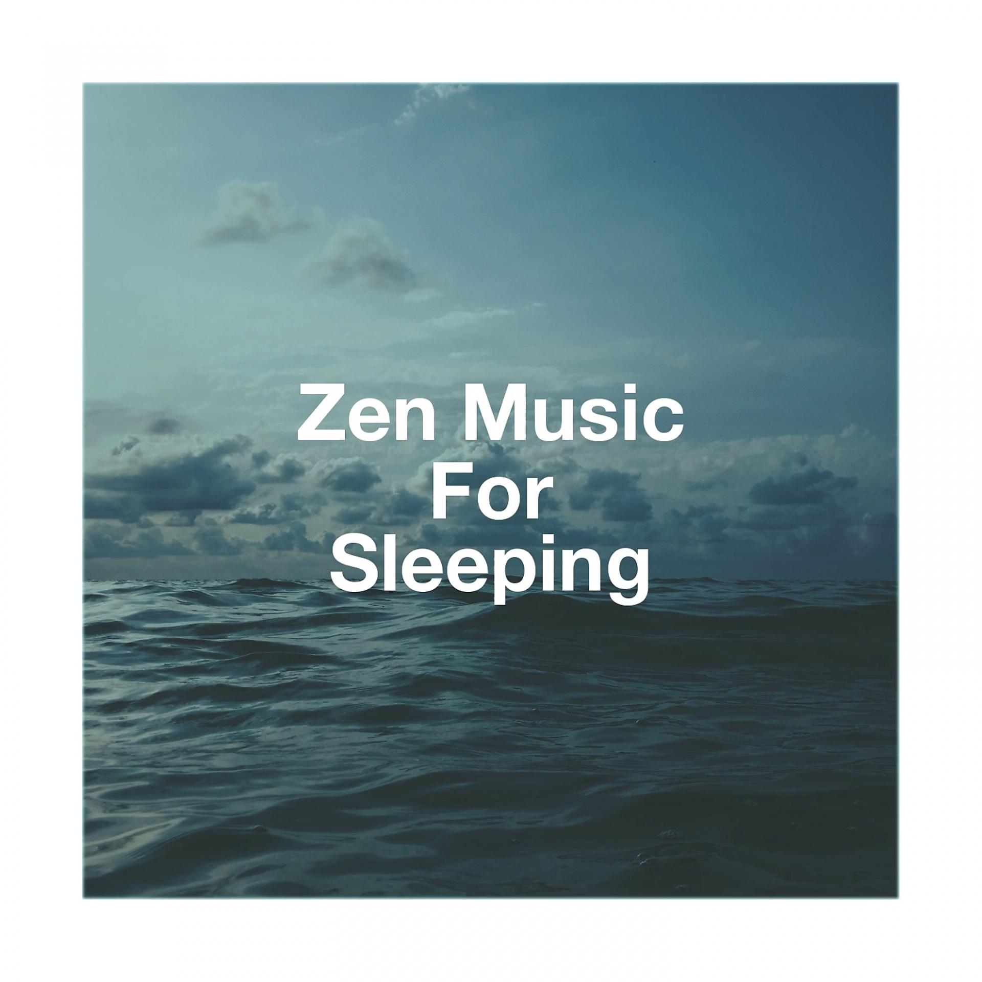 Постер альбома Zen Music for Sleeping