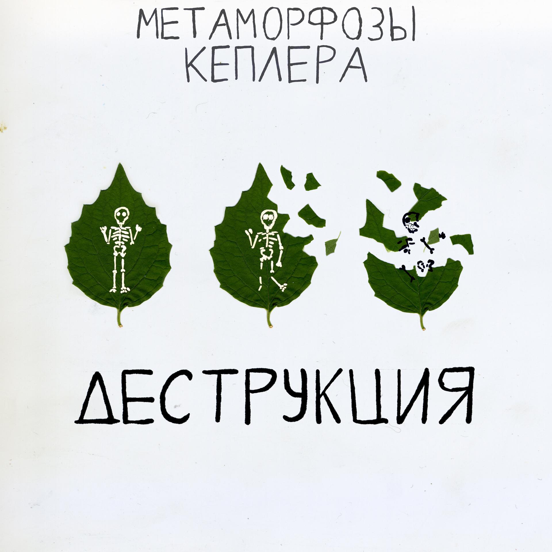Постер альбома Деструкция