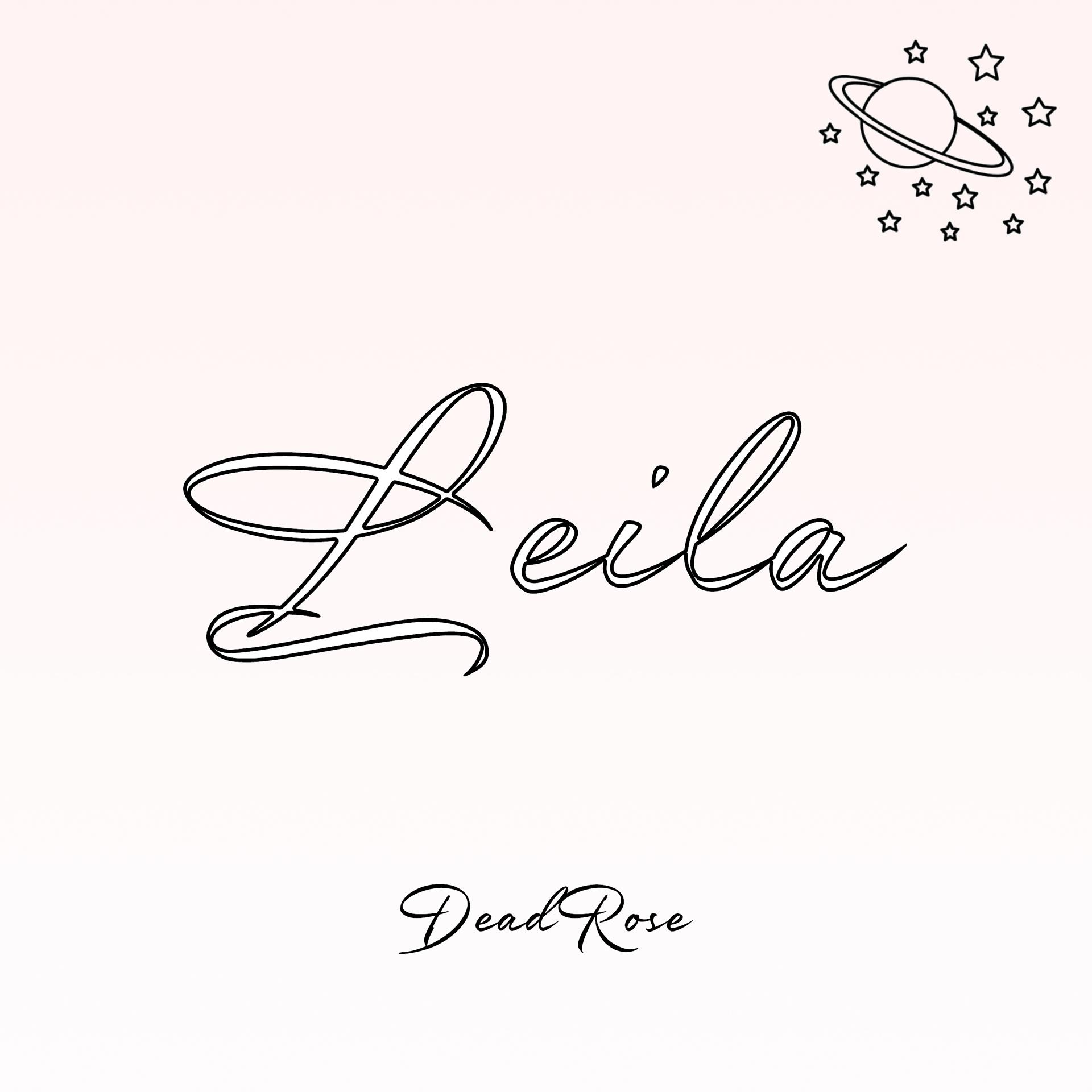 Постер альбома Leila