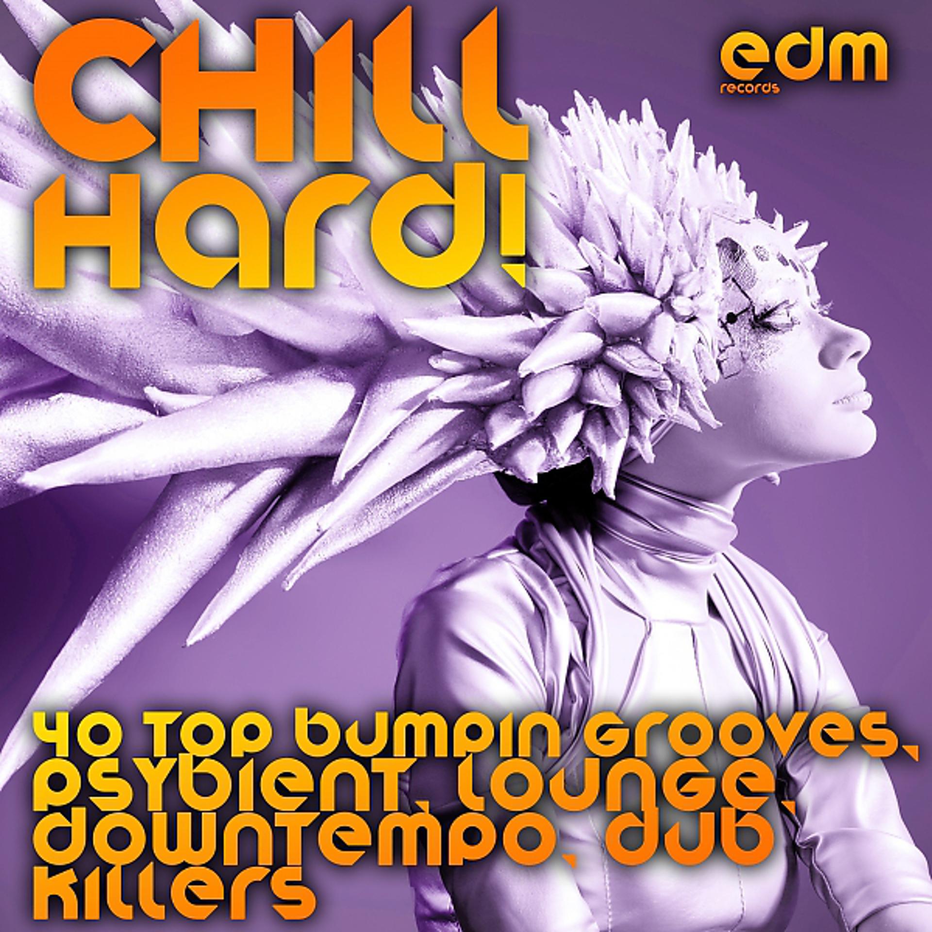 Постер альбома Chill Hard! (40 Top Bumpin Grooves, Psybient, Lounge, Downtempo, Dub Killers)