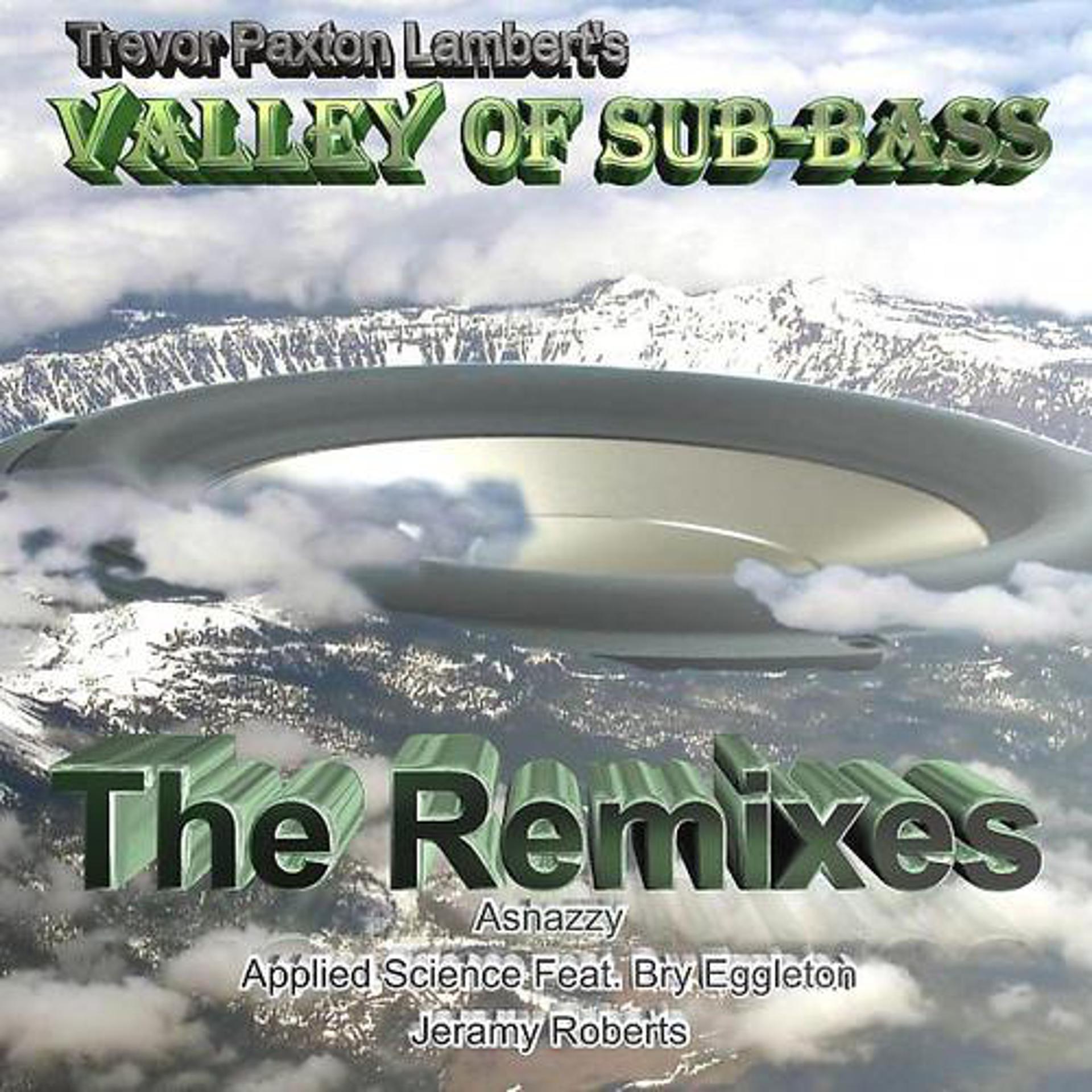 Постер альбома Valley Of Subass The Remixes