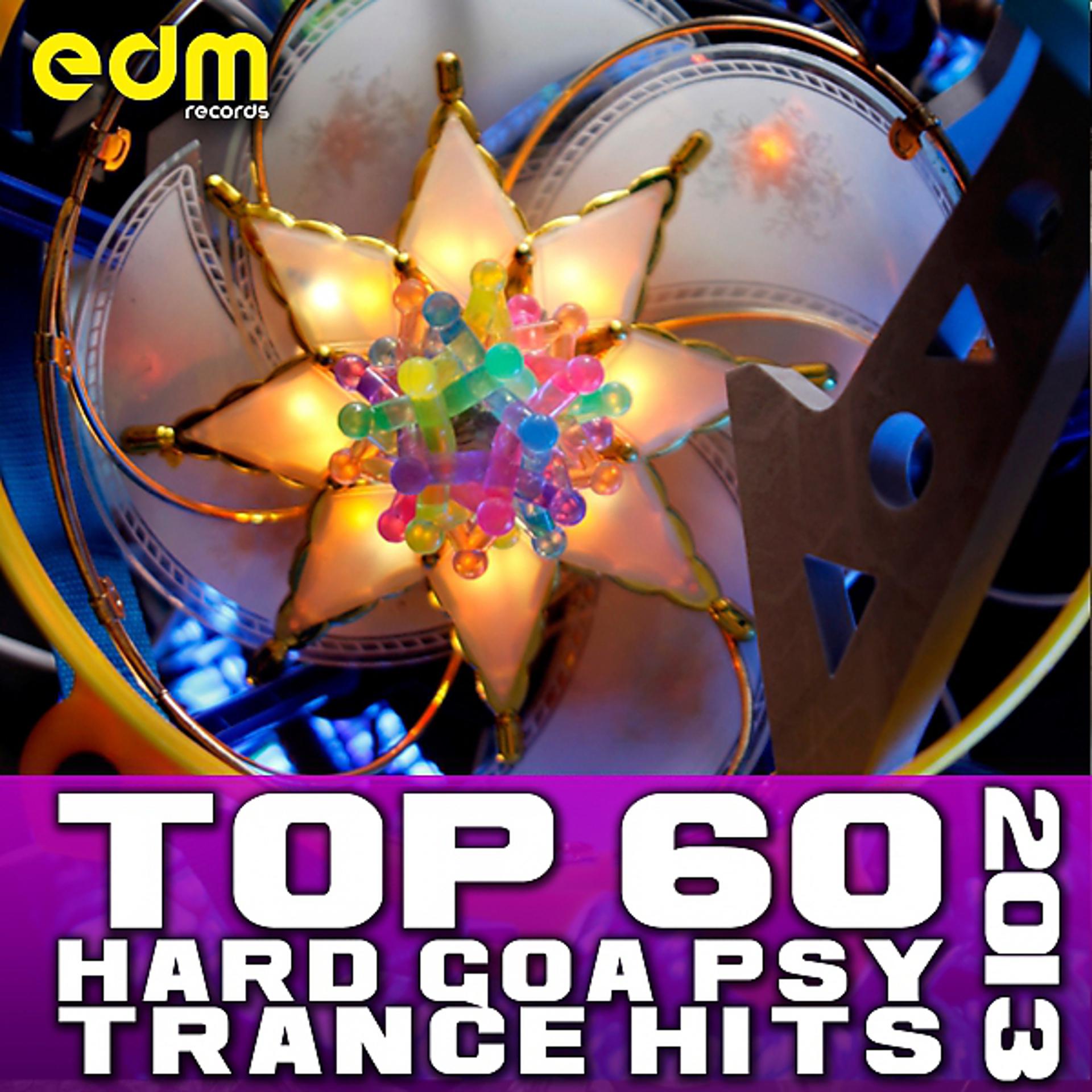 Постер альбома Top 60 Hard Goa Psytrance Hits 2013