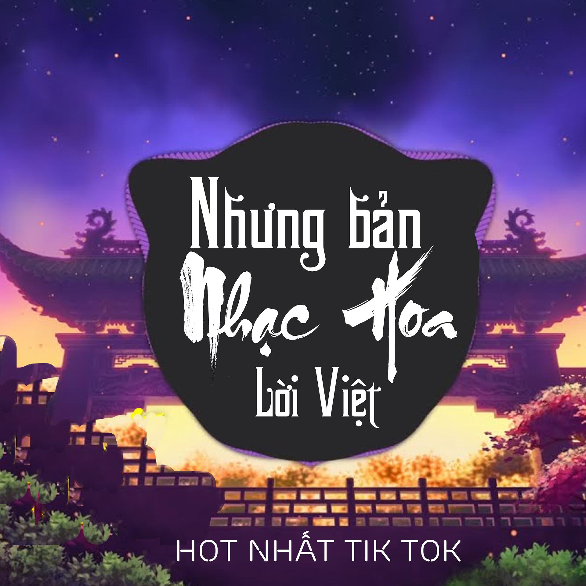 Постер альбома Những Bản Nhạc Hoa Lời Việt Remix Hot Nhất Tik Tok