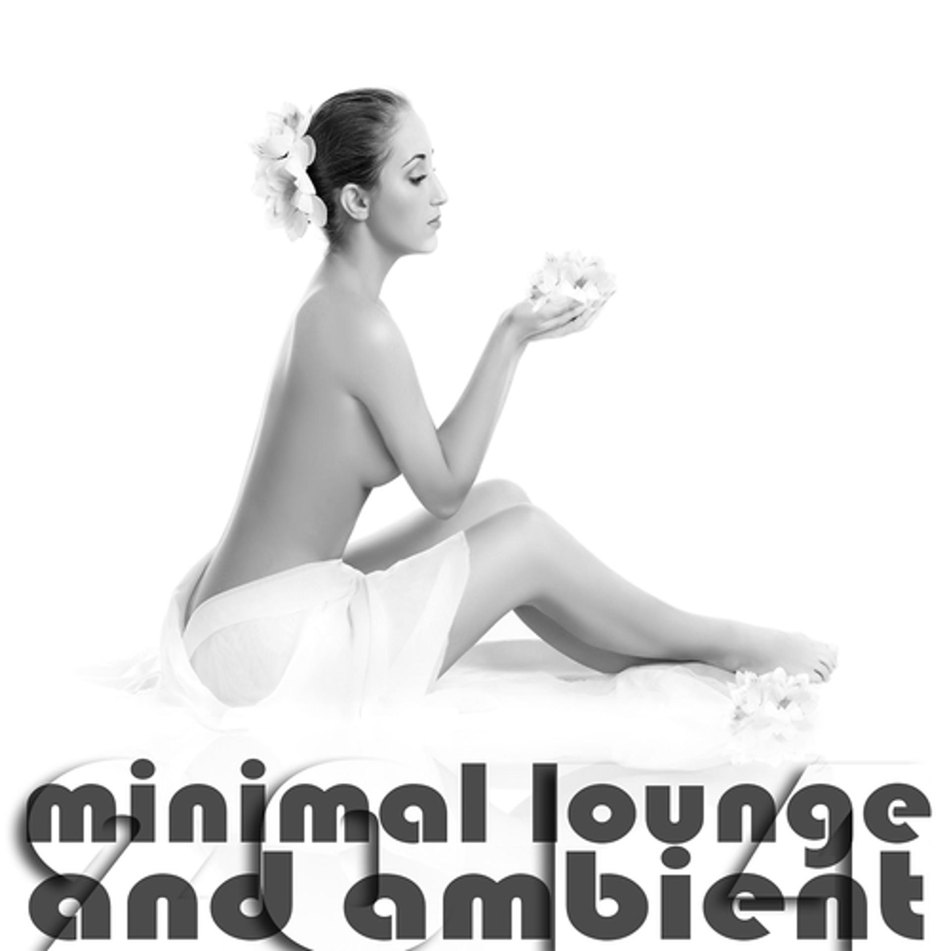 Постер альбома Minimal Lounge and Ambient 2014