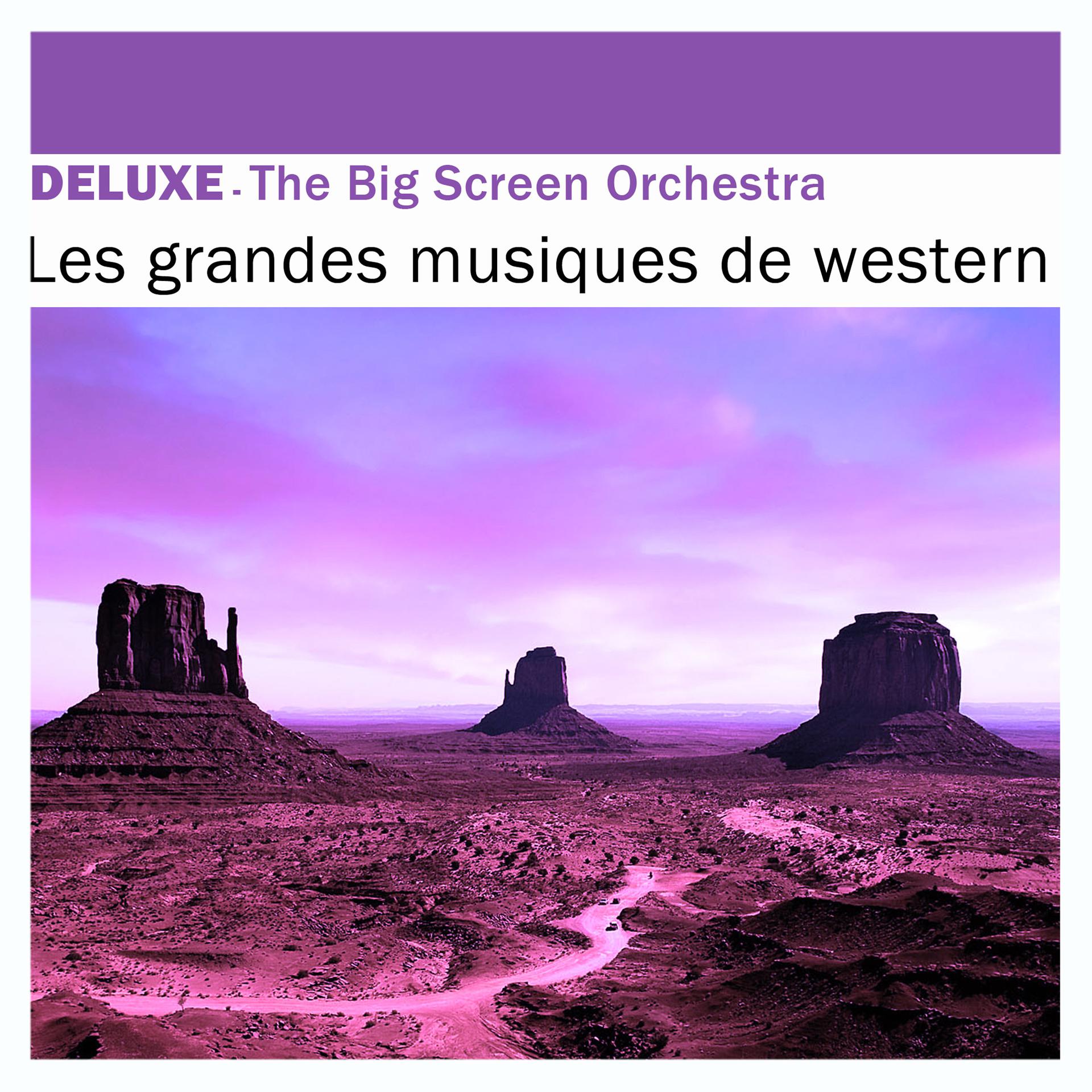 Постер альбома Deluxe: Les grandes musiques de western