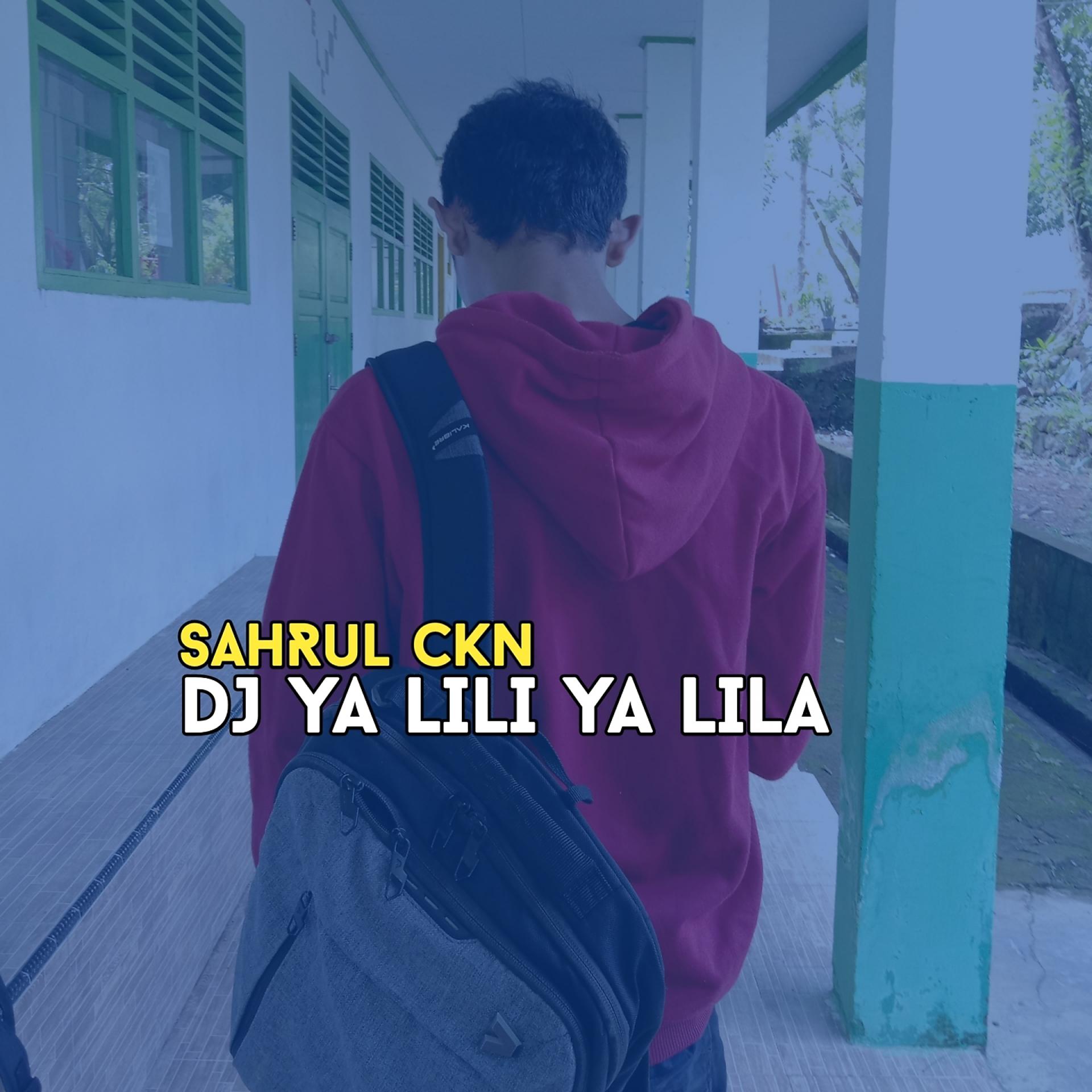 Постер альбома DJ YA LILI YA LILA