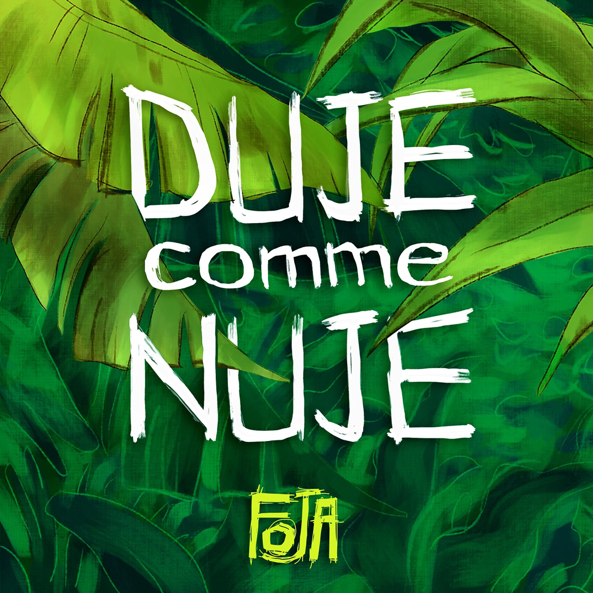 Постер альбома Duje comme nuje