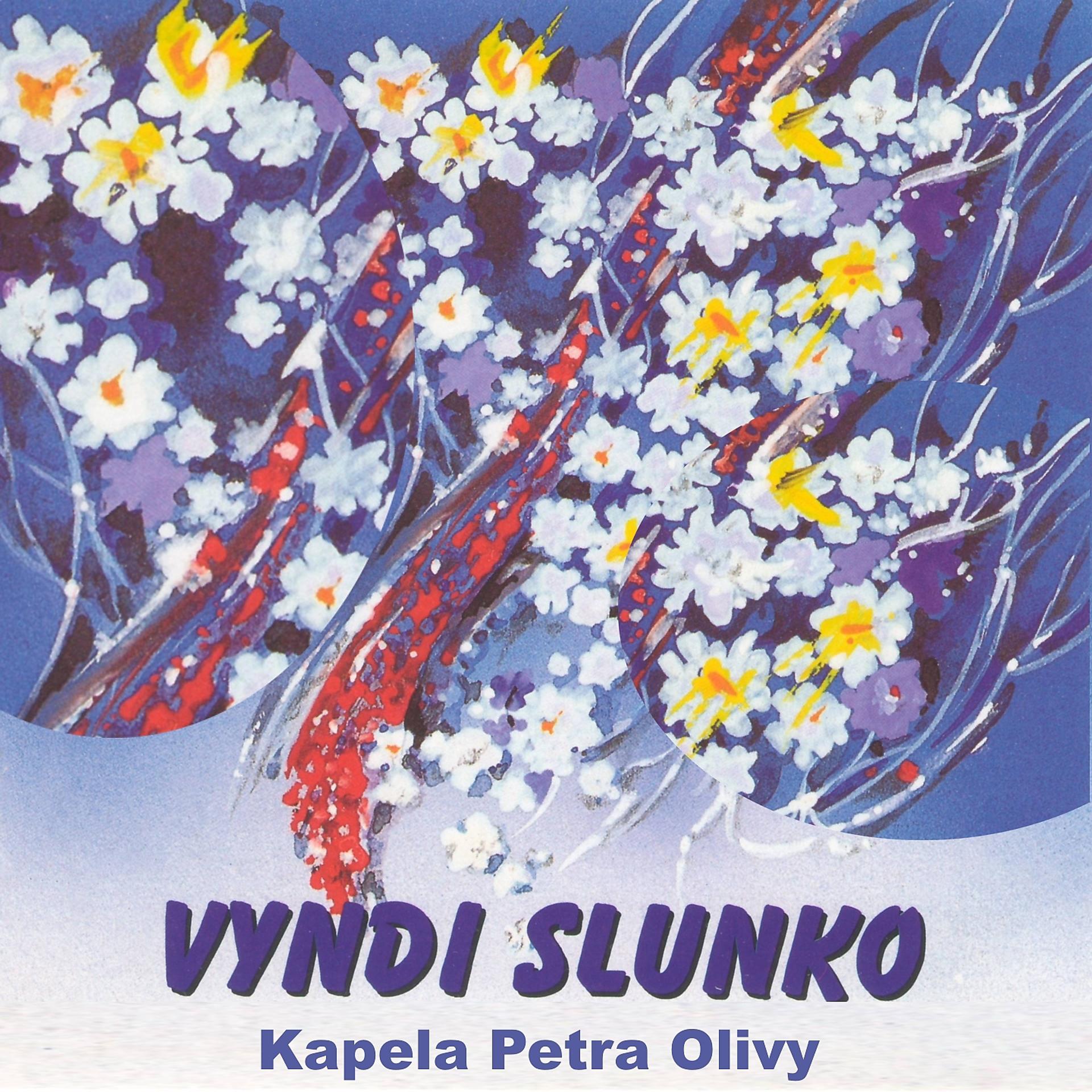 Постер альбома Vyndi Slunko