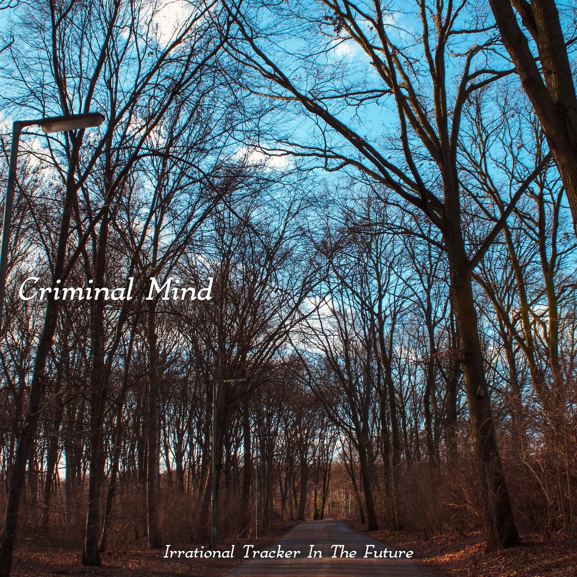 Постер альбома Criminal Mind