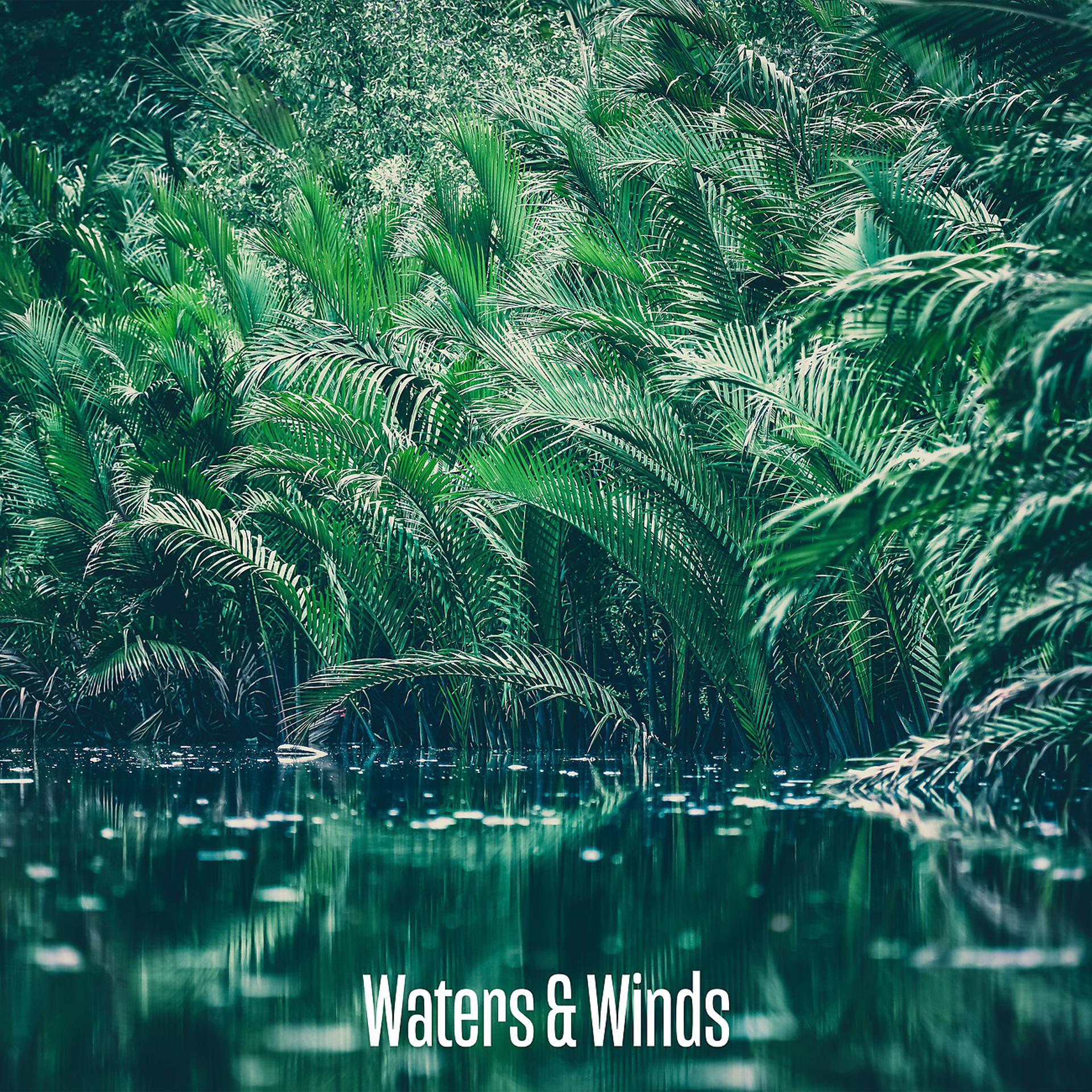 Постер альбома Waters & Winds