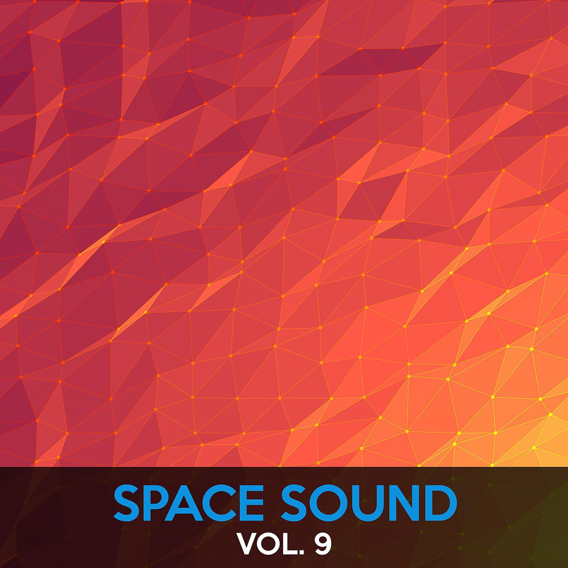 Постер альбома Space Sound, Vol. 9