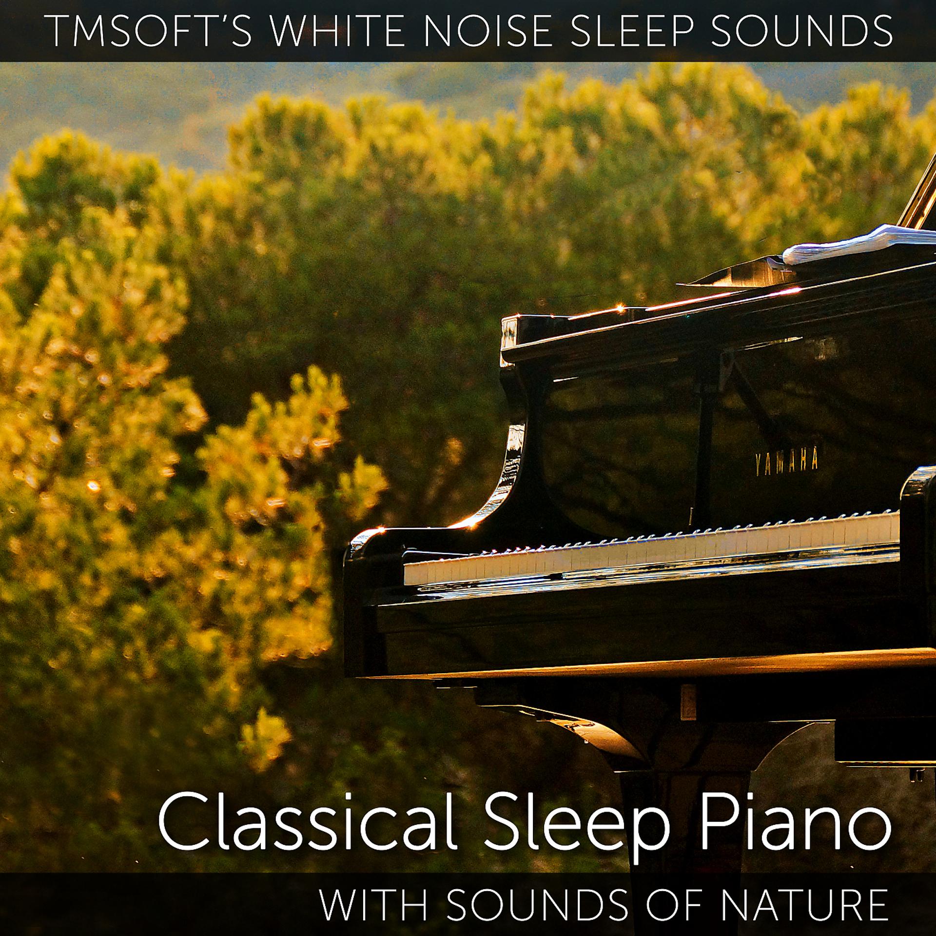Постер альбома Classical Sleep Piano with Sounds of Nature
