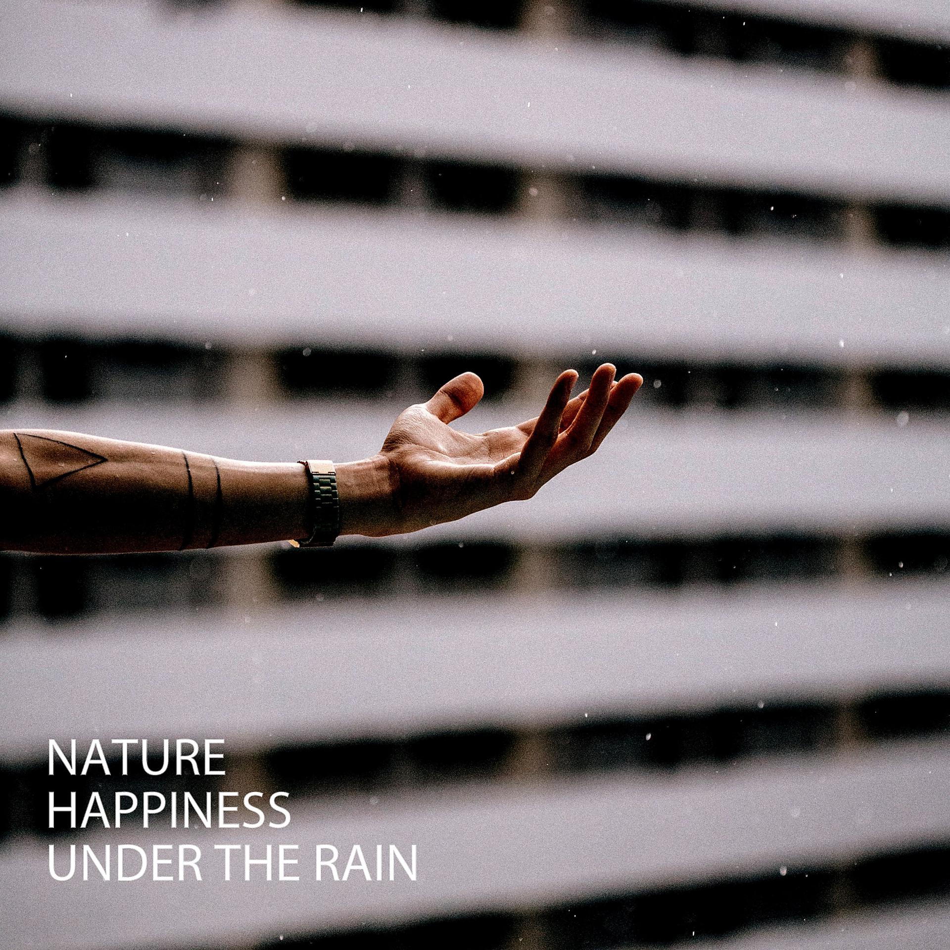 Постер альбома Nature: Happiness Under The Rain