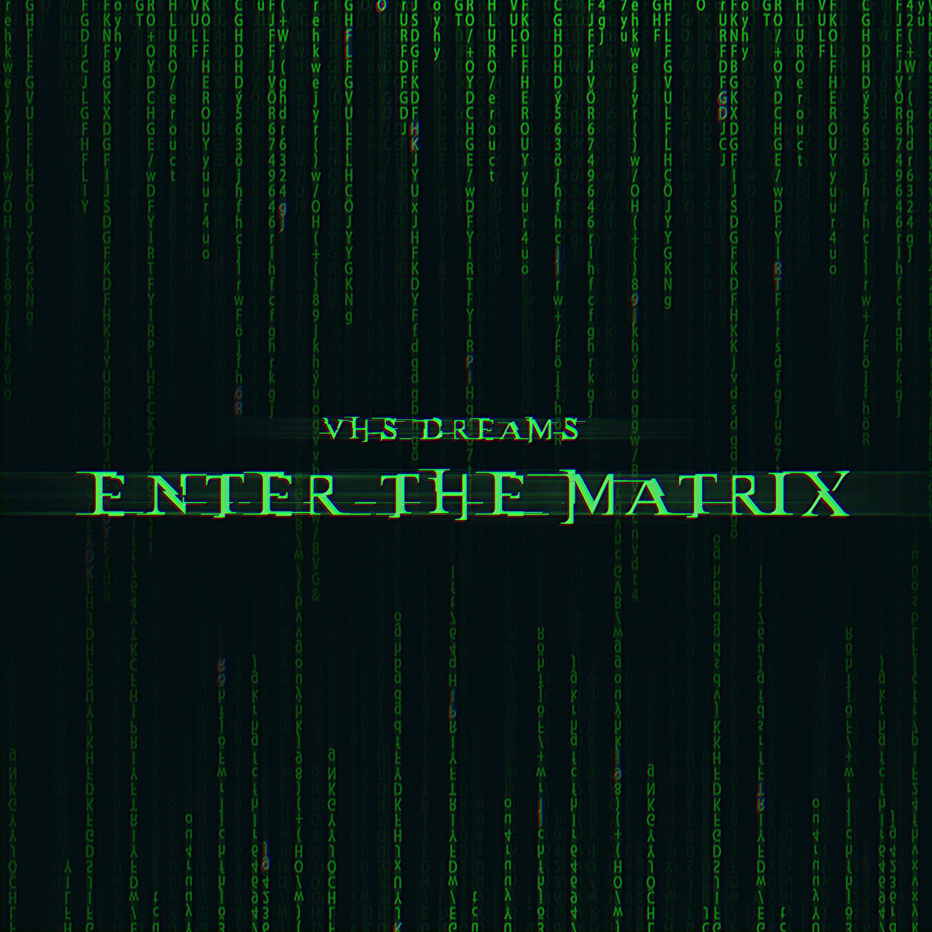 Постер альбома Enter The Matrix