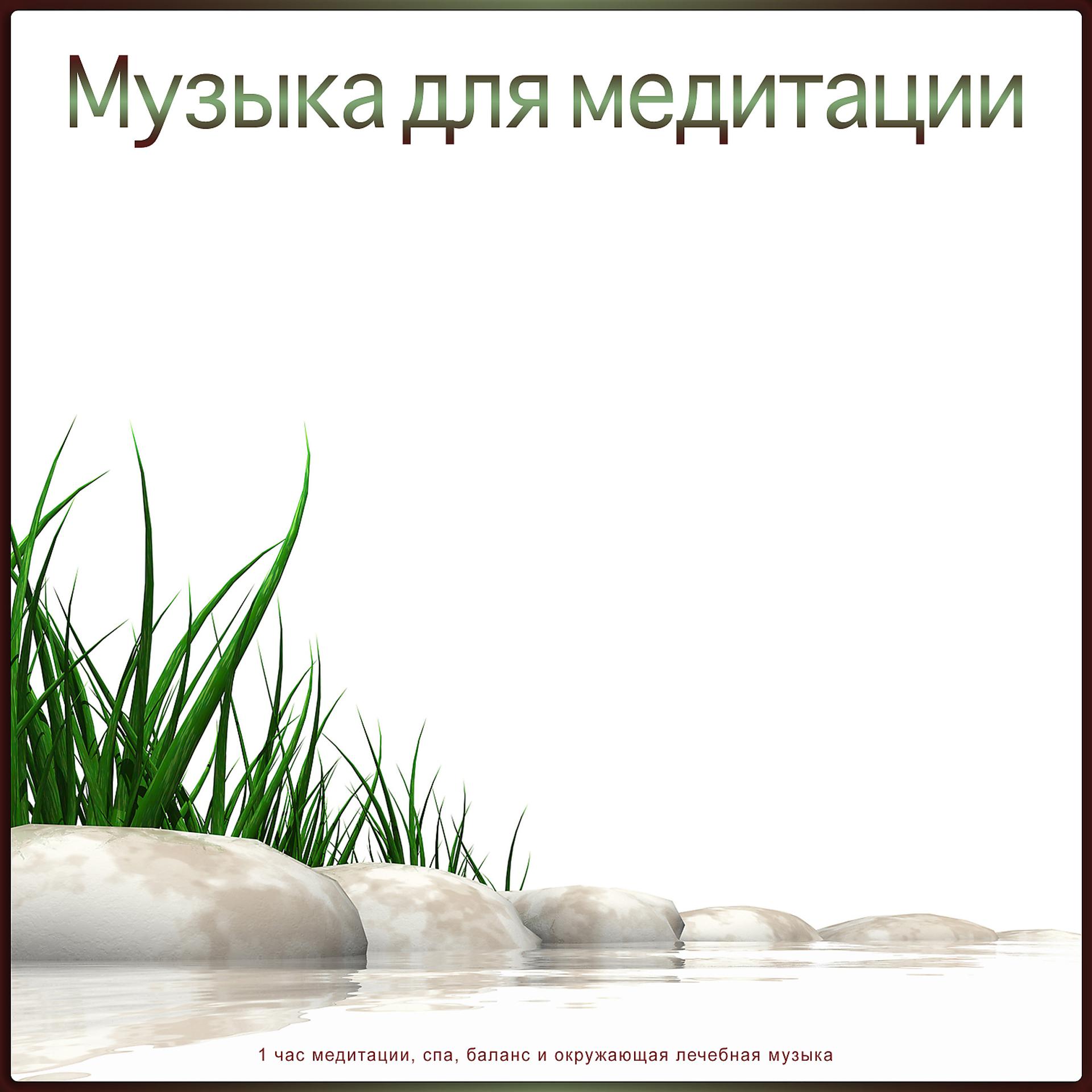 Постер альбома Музыка для медитации: 1 час медитации, спа, баланс и окружающая лечебная музыка