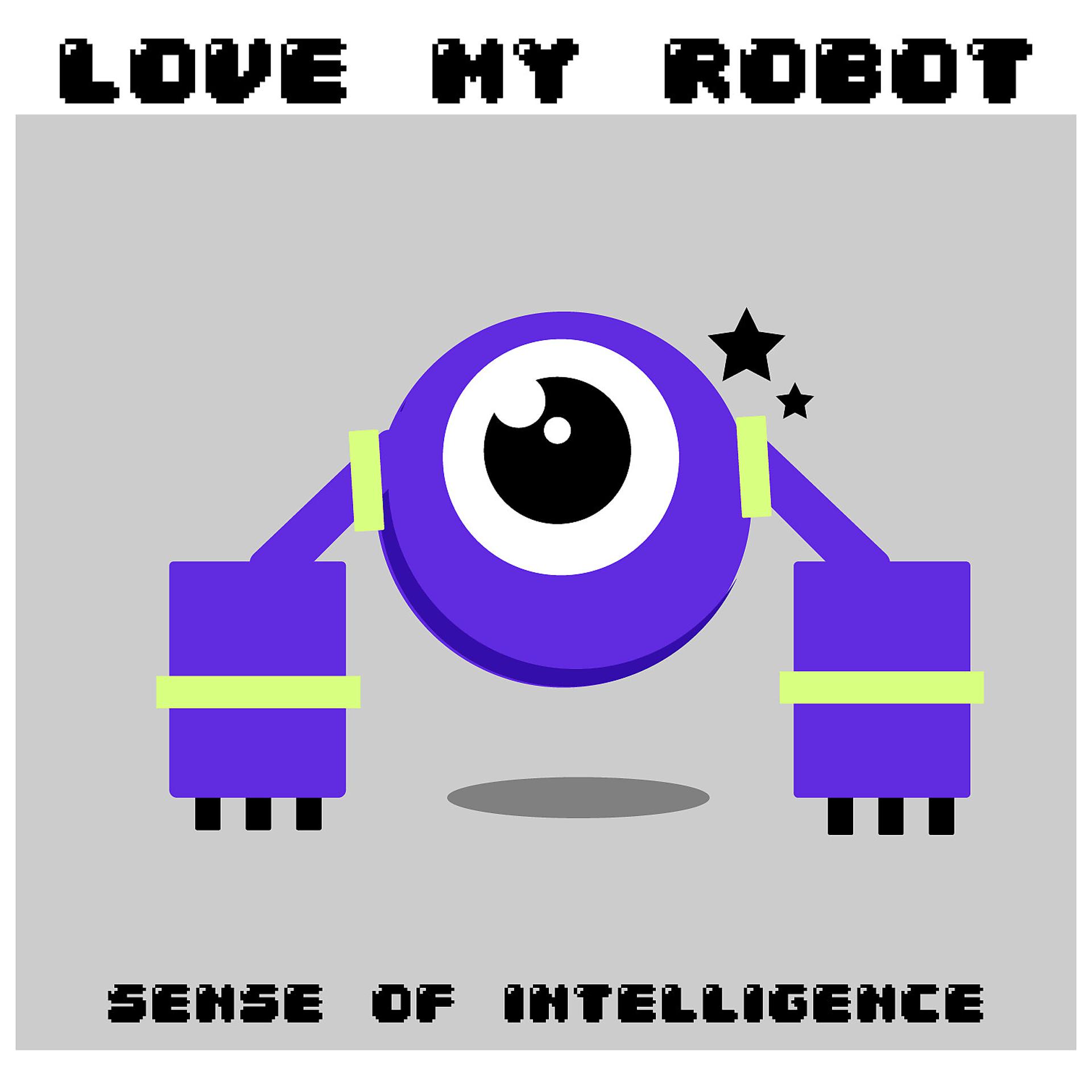 Постер альбома Sense of Intelligence Intro