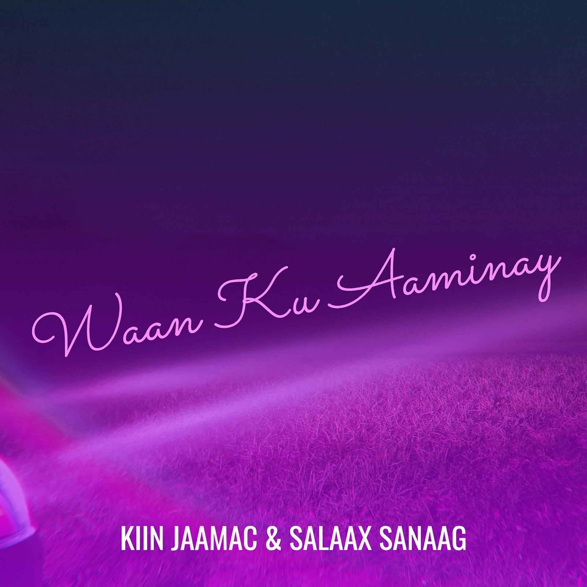 Постер альбома Waan Ku Aaminay