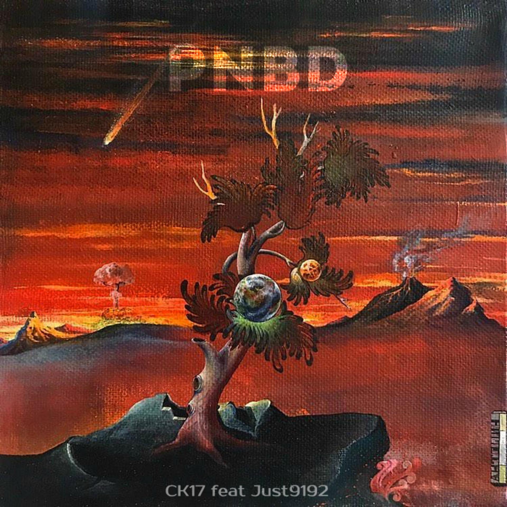 Постер альбома Pnbd