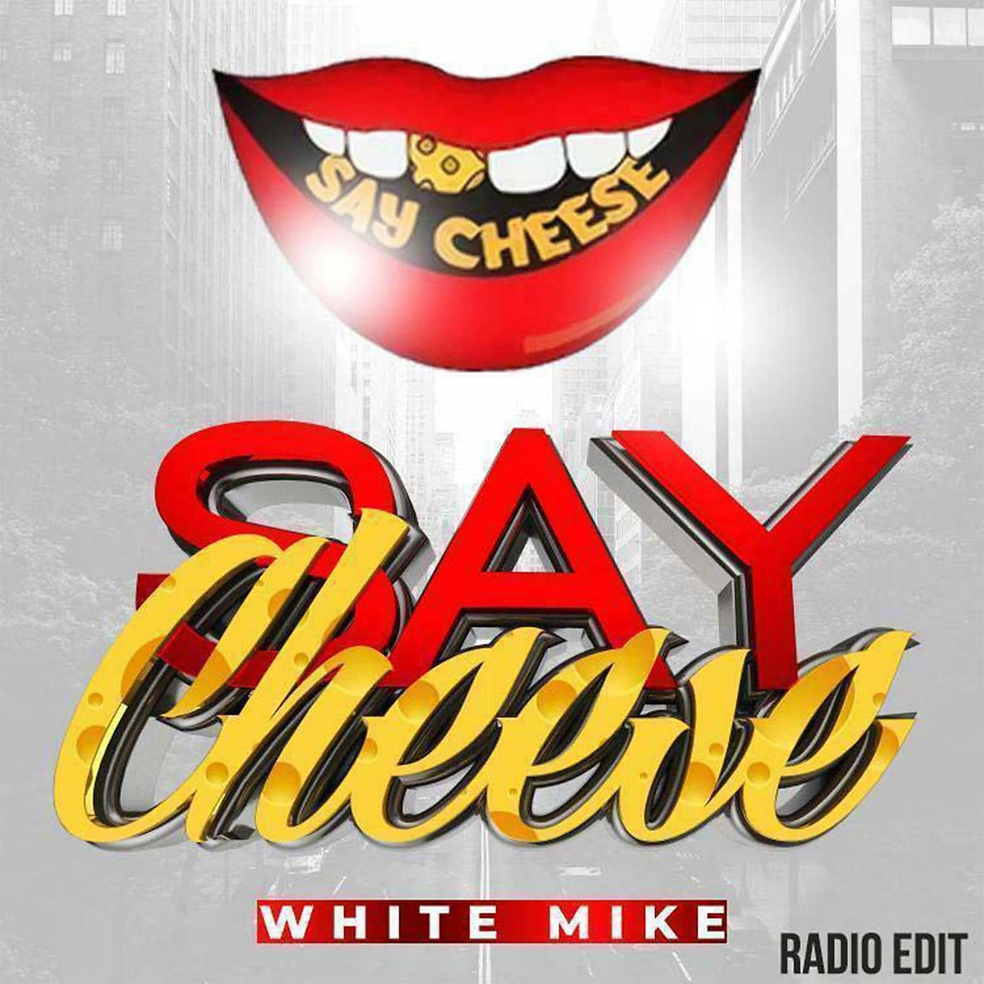 Постер альбома Say Cheese (Radio Edit)