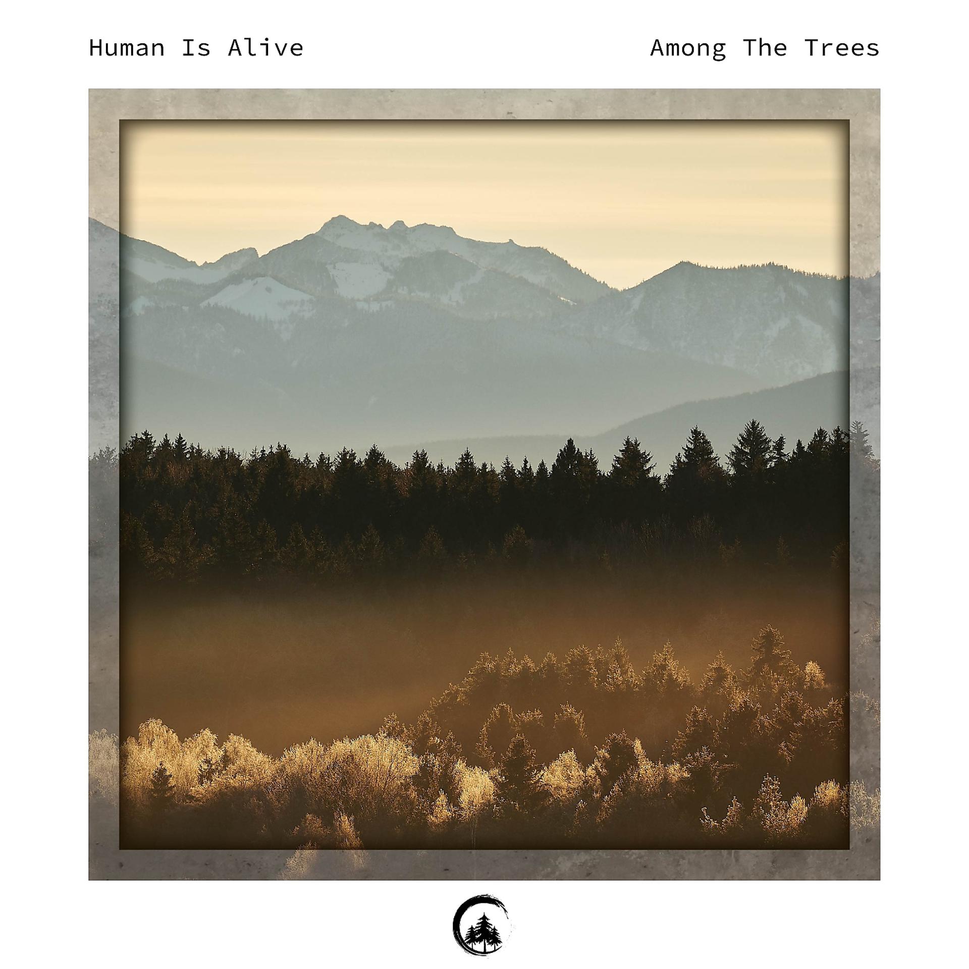 Постер альбома Among the Trees