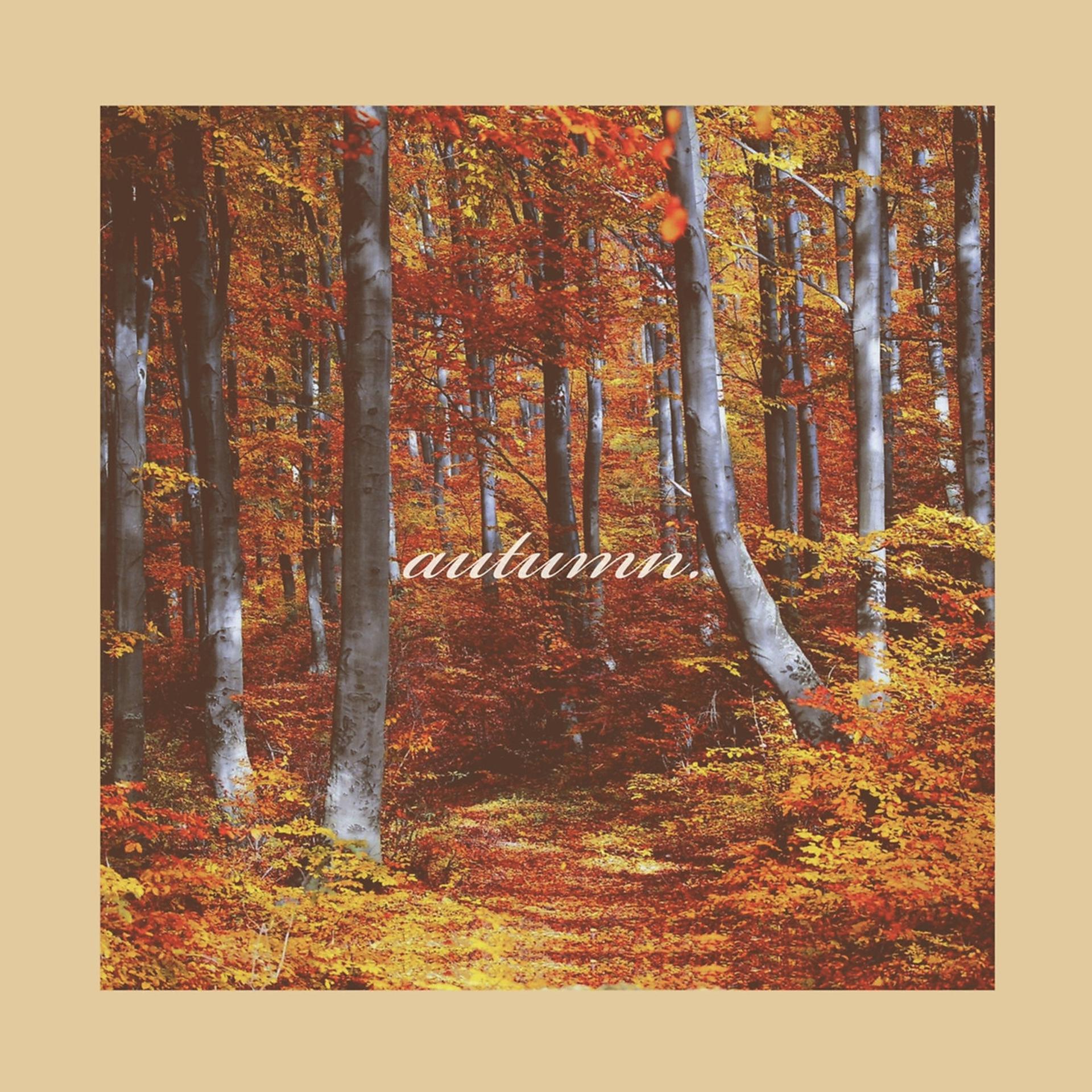 Постер альбома Autumn.