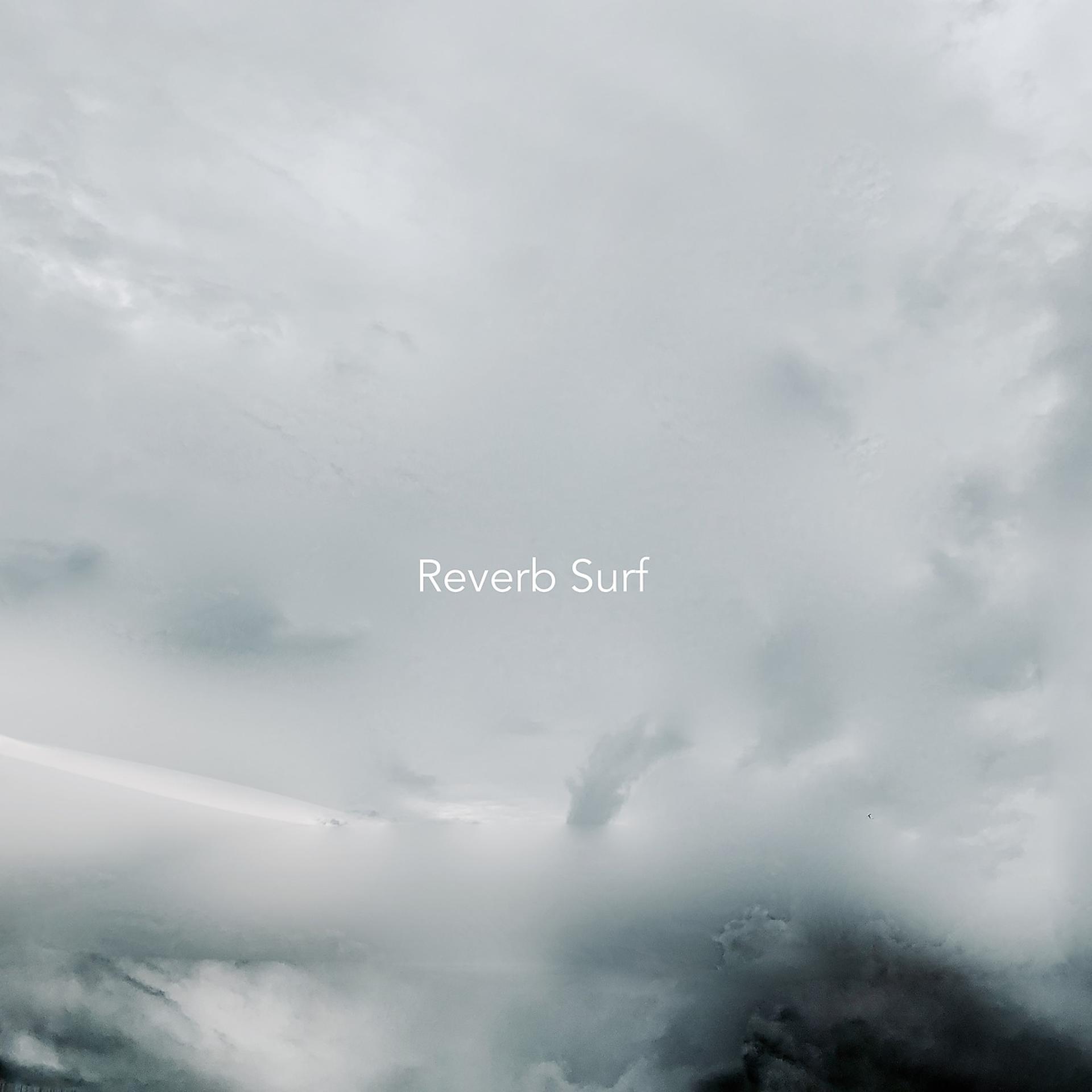 Постер альбома Reverb Surf