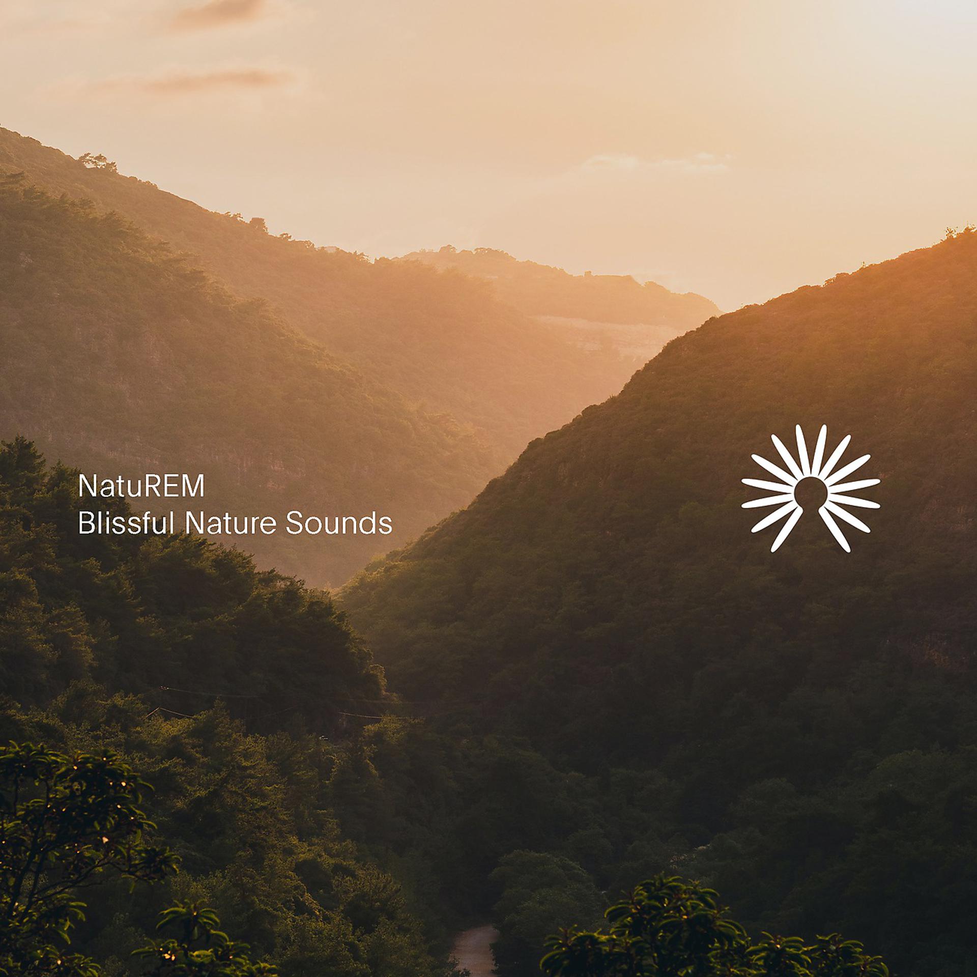 Постер альбома Blissful Nature Sounds