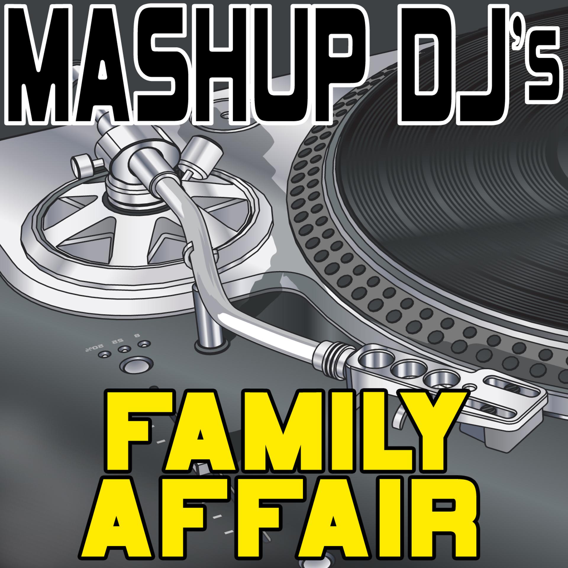Постер альбома Family Affair (Remix Tools For Mash-Ups)