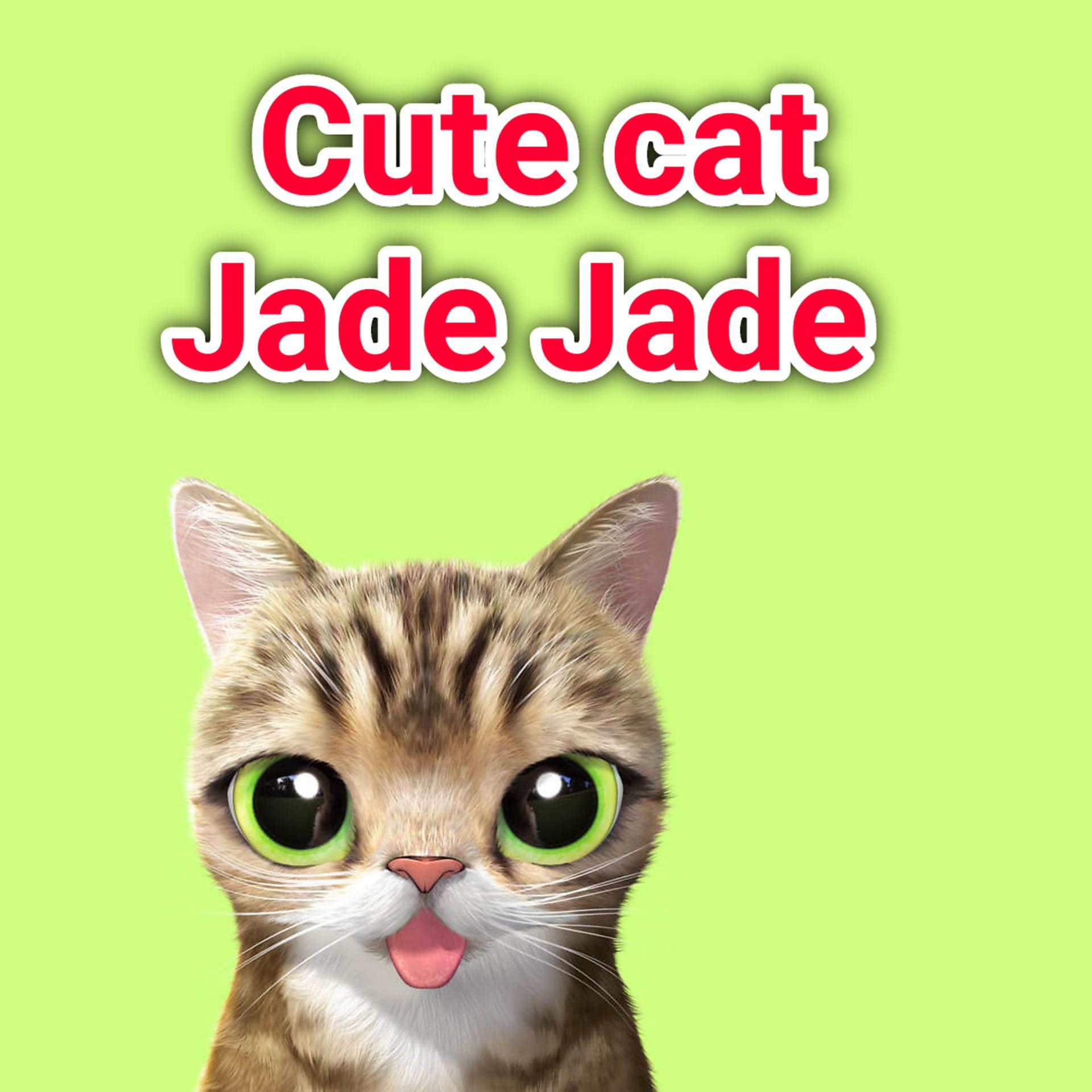 Постер альбома Cute Cat