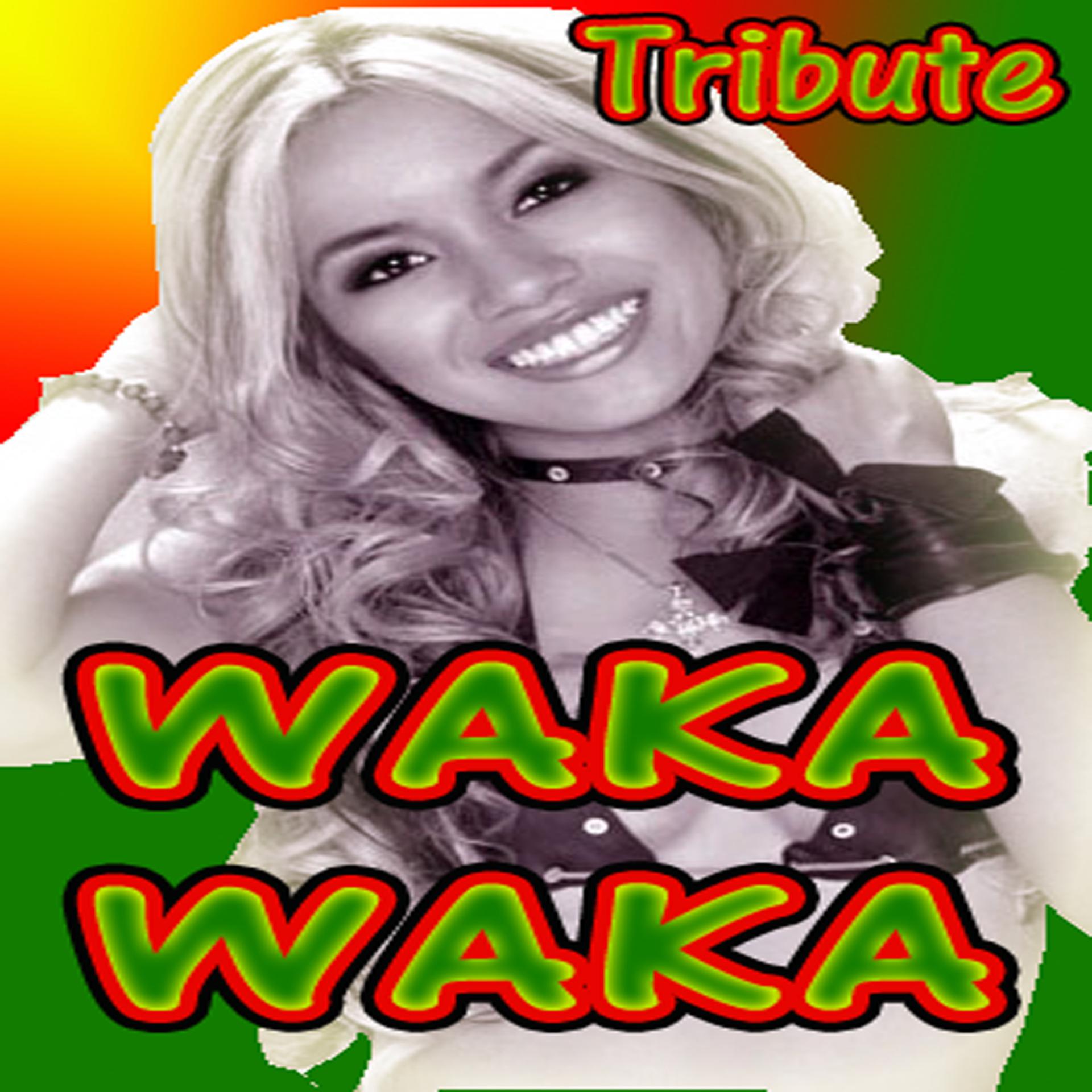 Постер альбома WAKA WAKA (Shakira Salute)