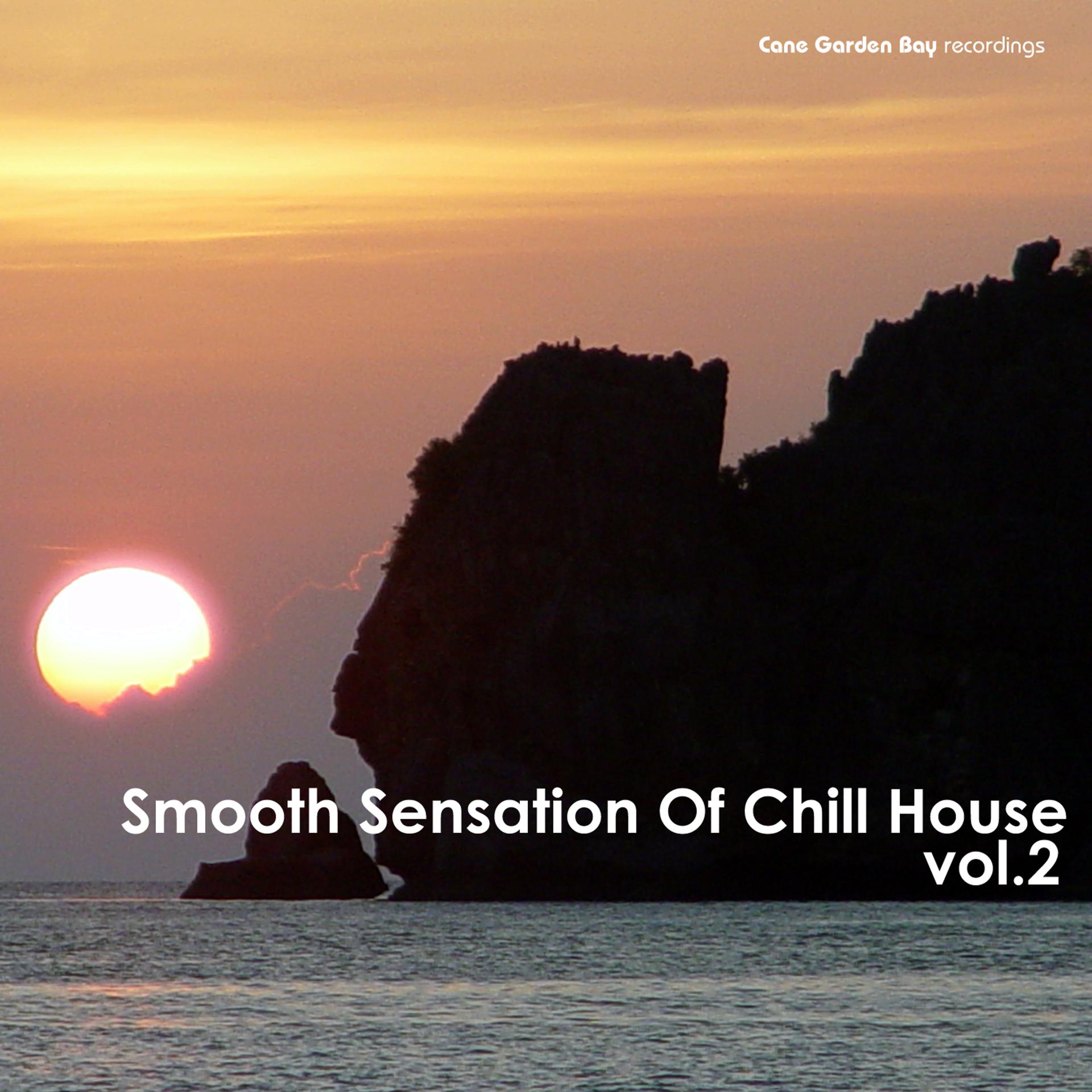 Постер альбома Smooth Sensation Of Chill House Vol.2