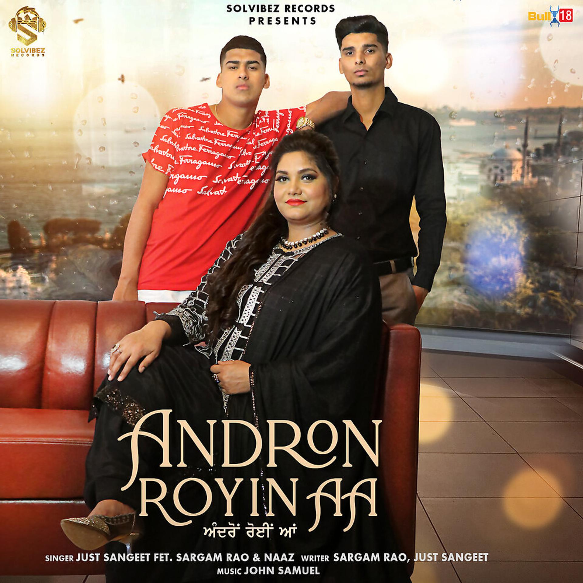 Постер альбома Andron Royin Aa