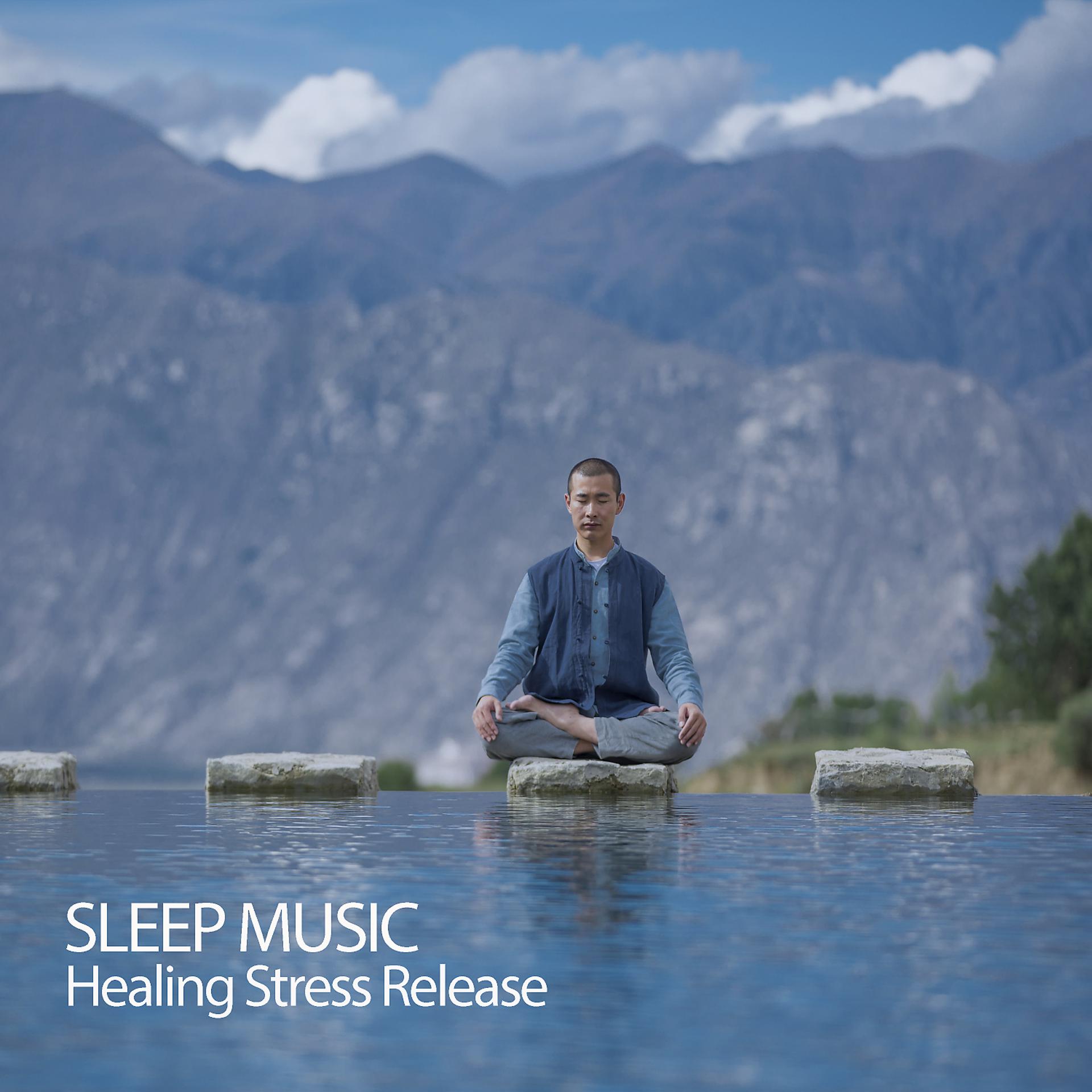Постер альбома Sleep Music: Healing Stress Release