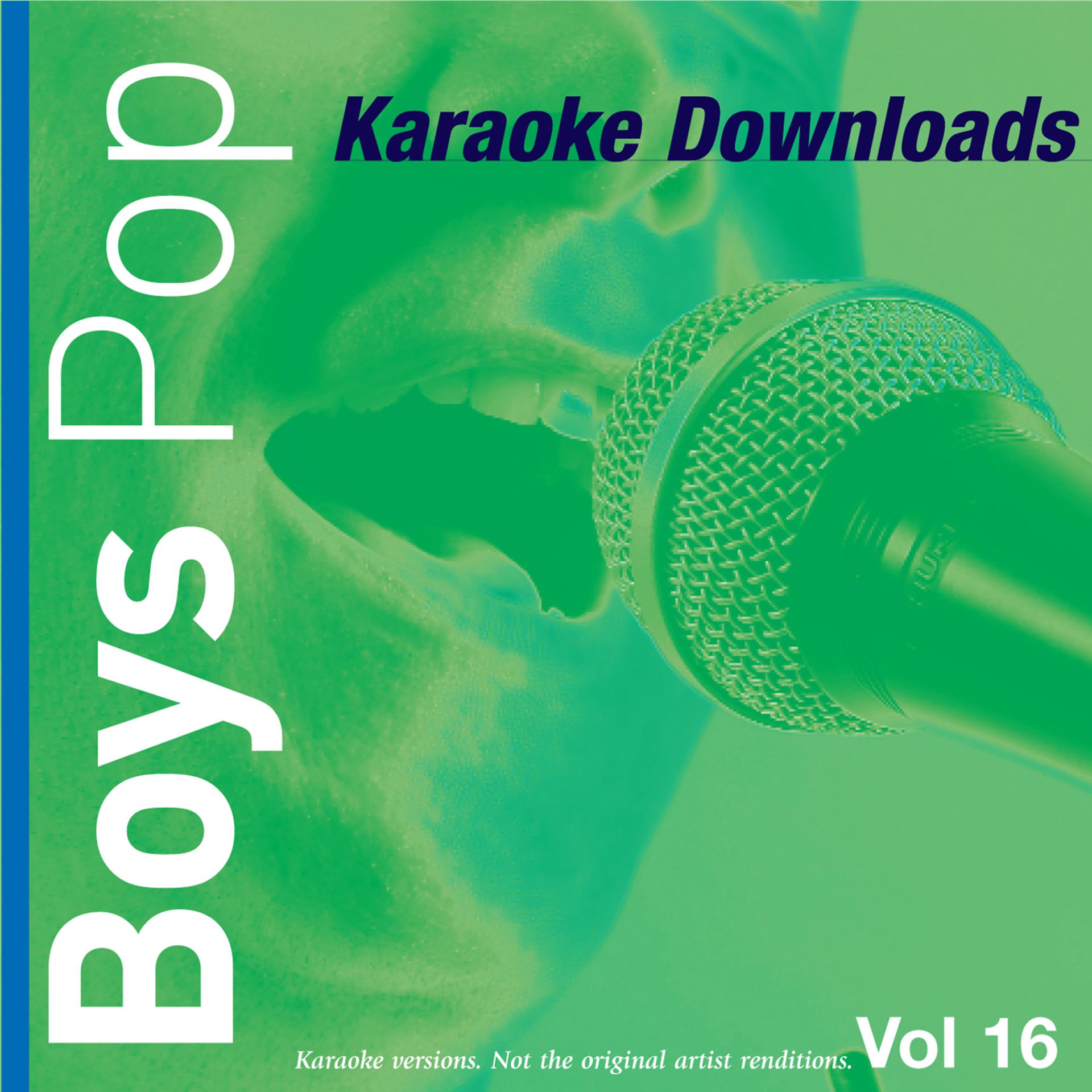 Постер альбома Karaoke Downloads - Boys Pop Vol.16