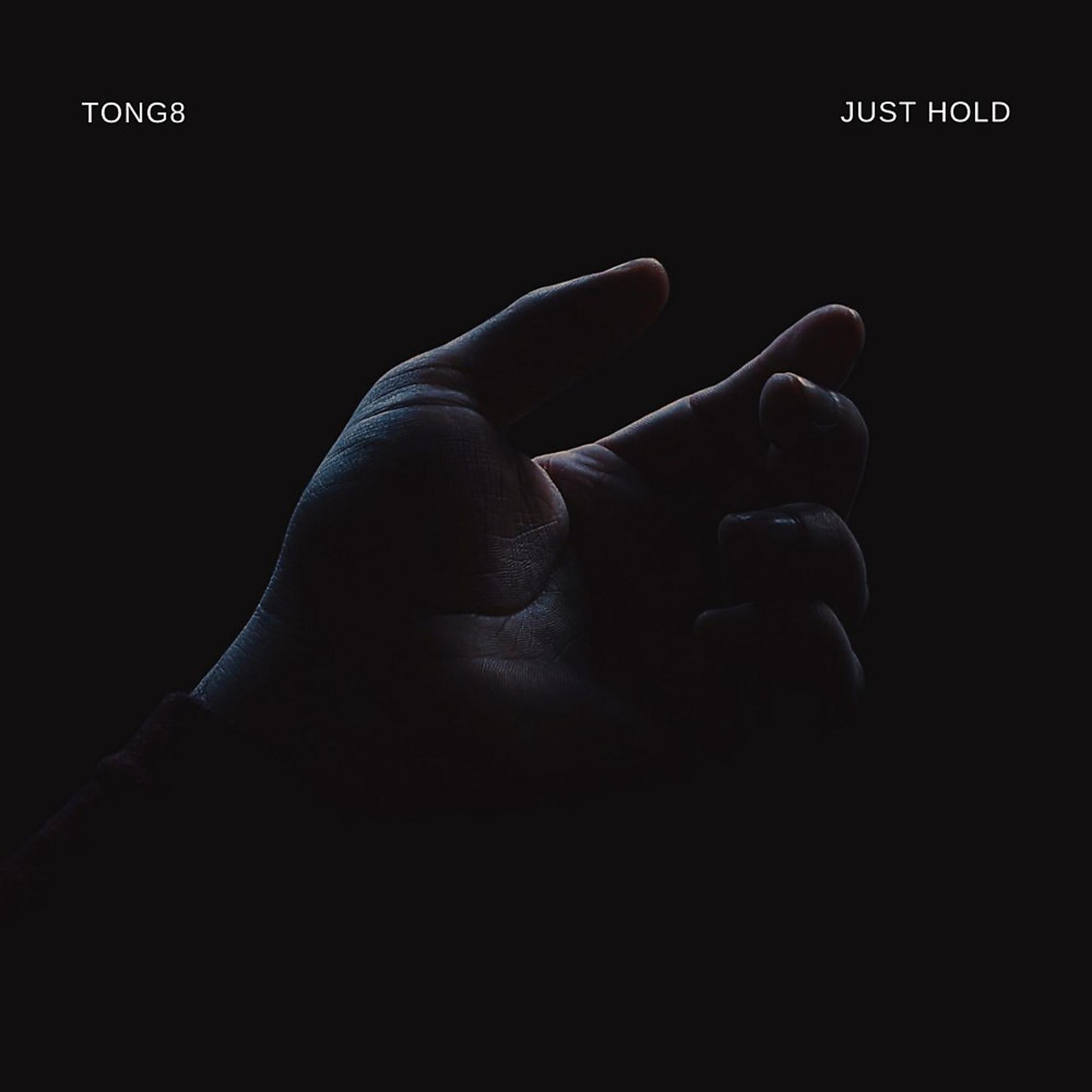 Постер альбома Just Hold