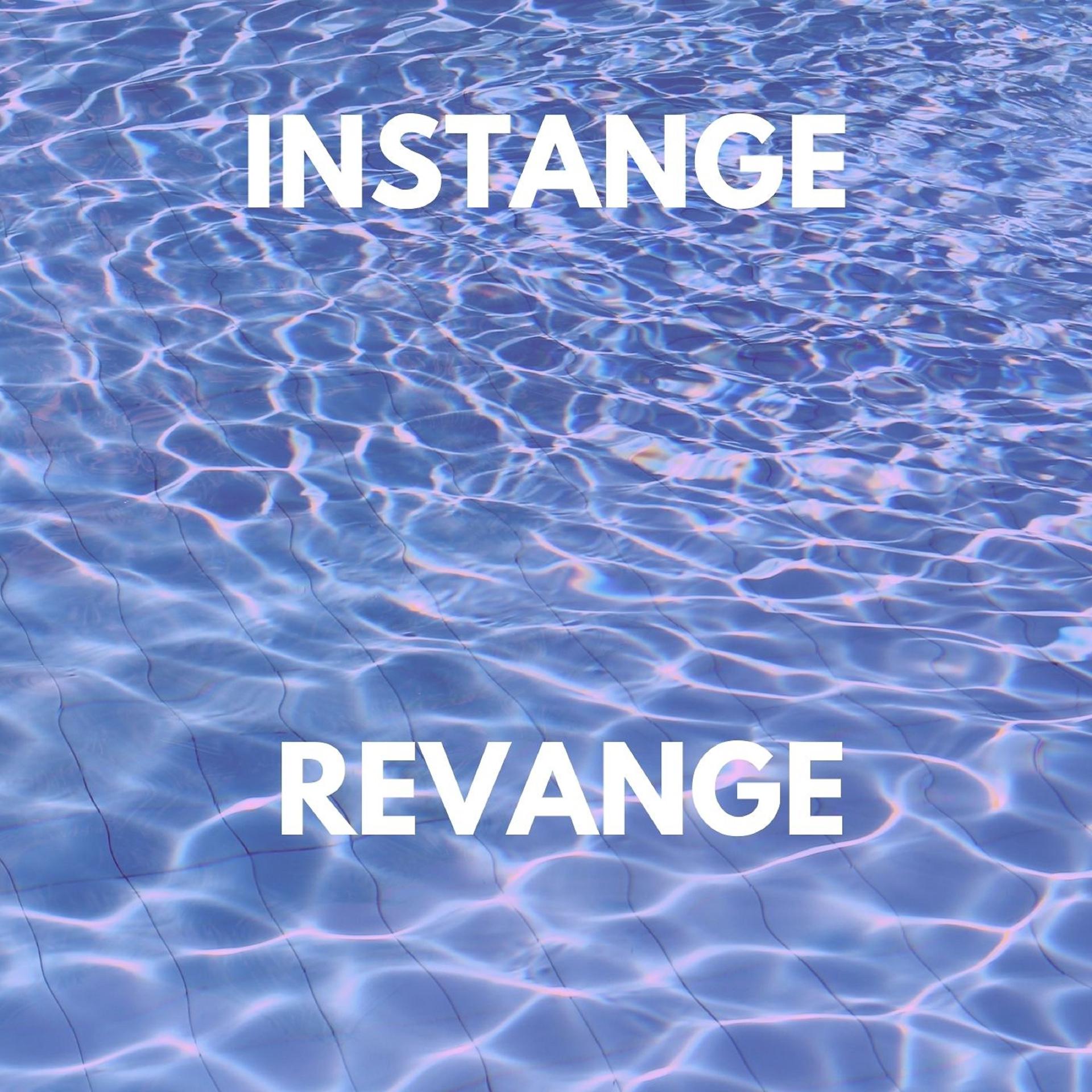 Постер альбома Revange