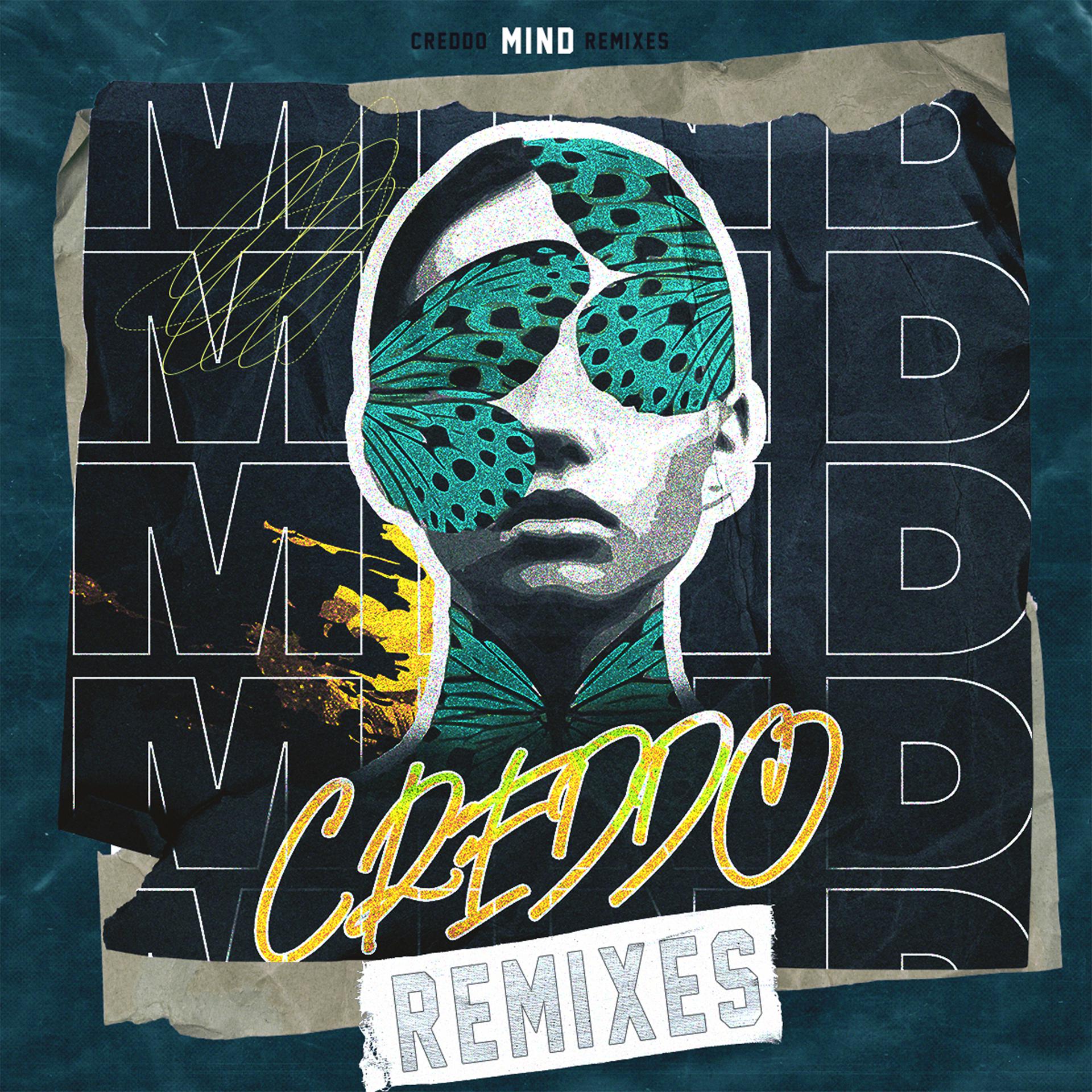 Постер альбома Mind Remixes