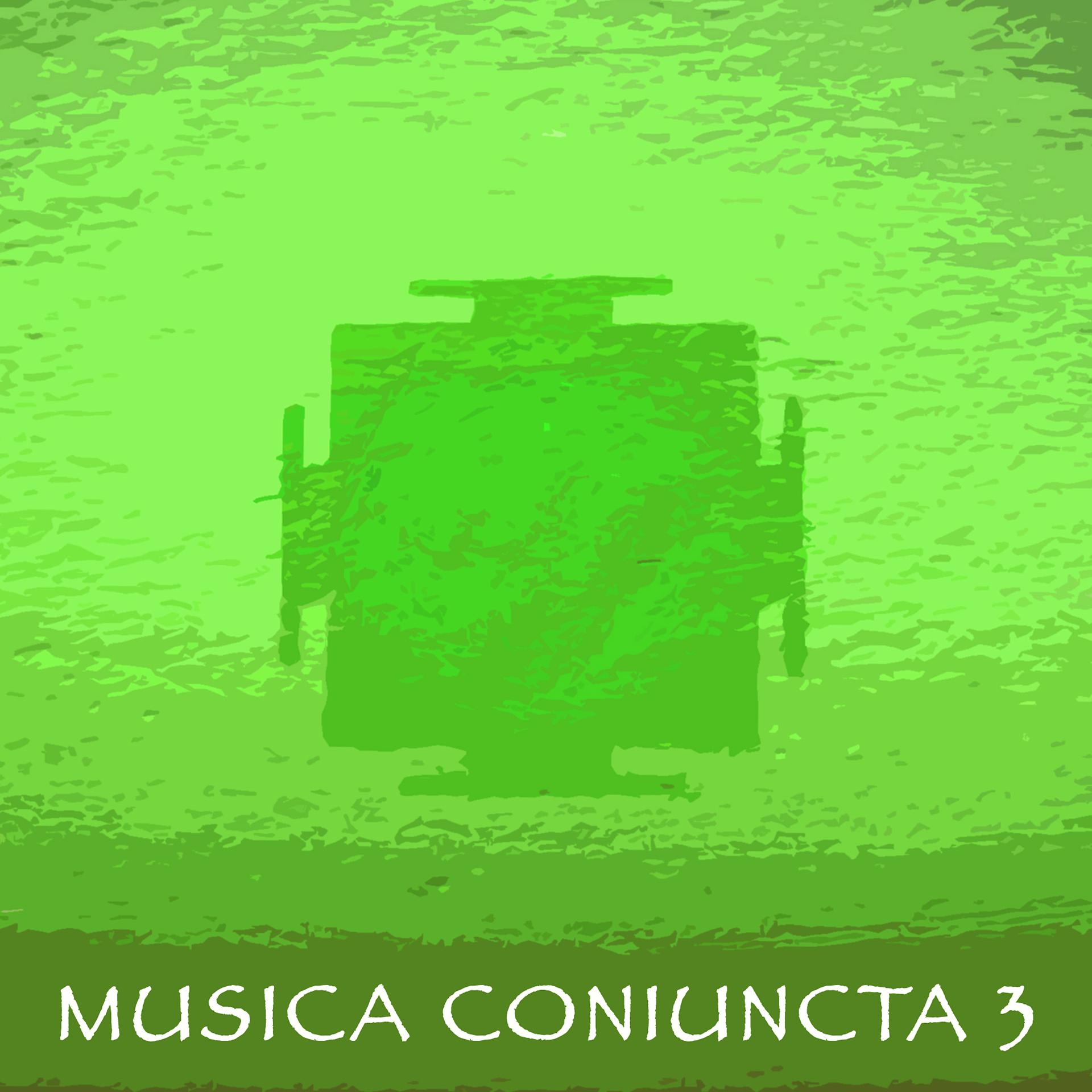 Постер альбома Musica Coniuncta 3