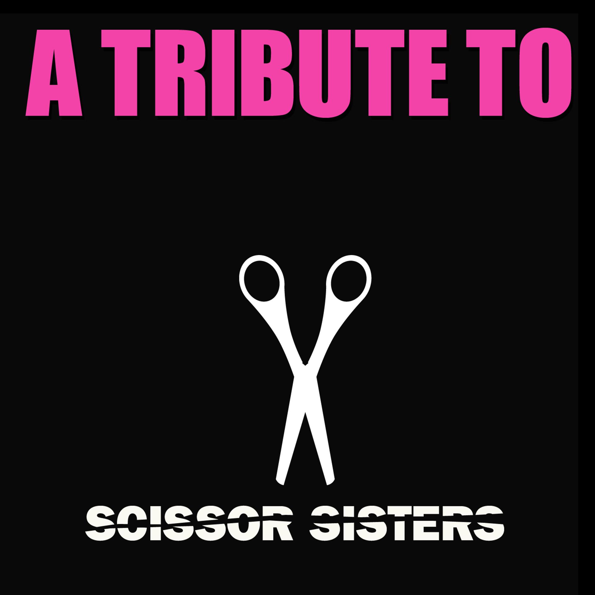 Постер альбома A Tribute to the Scissor Sisters