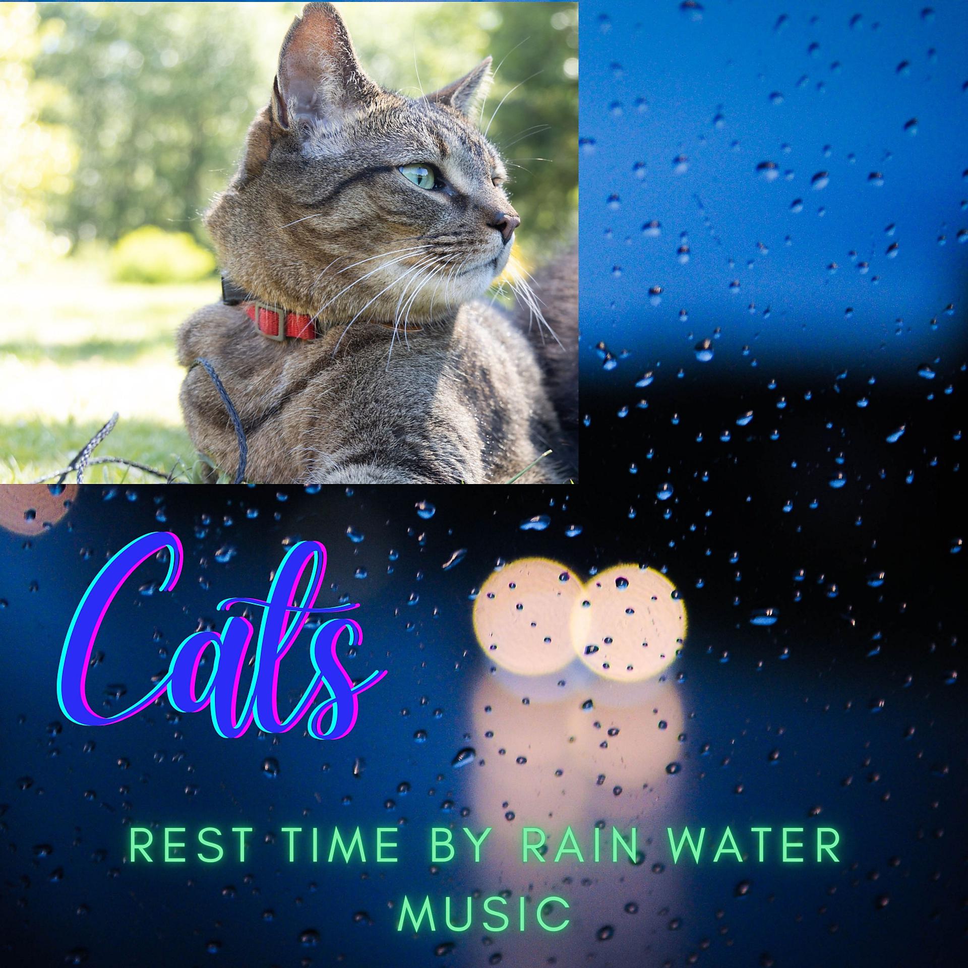 Постер альбома Cats: Rest Time By Rain Water Music
