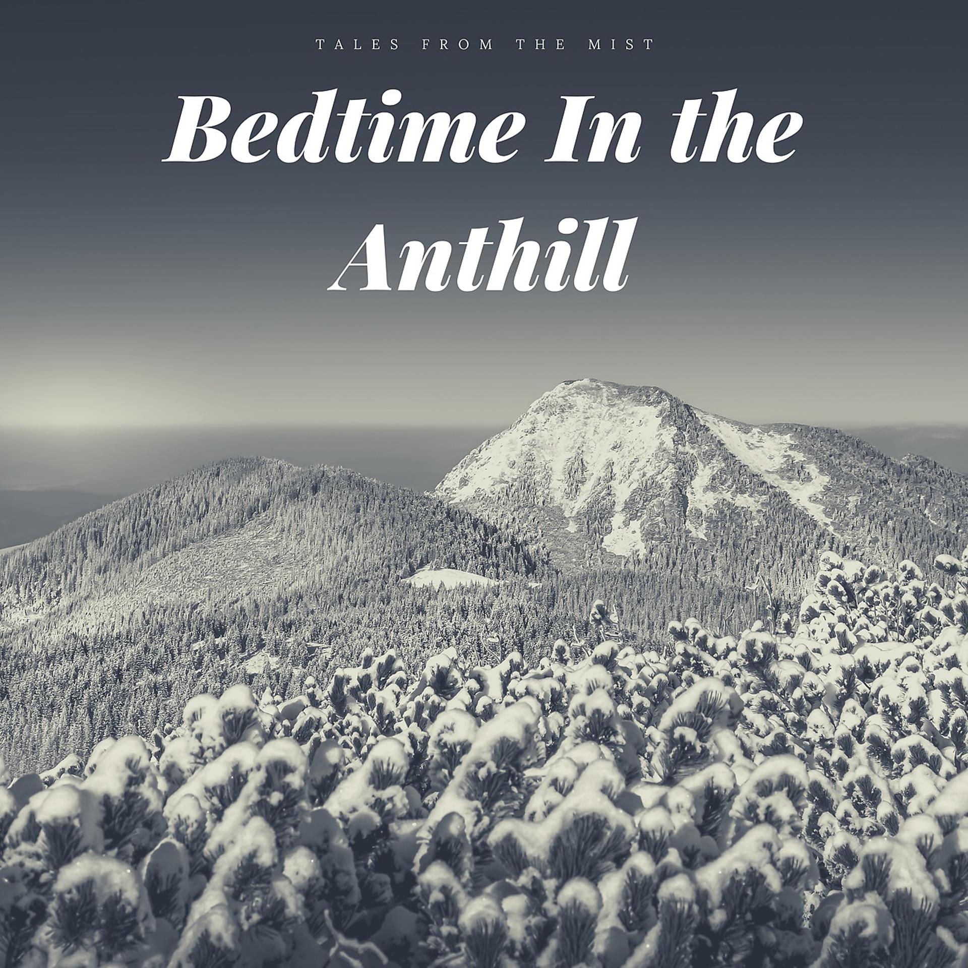 Постер альбома Bedtime In the Anthill