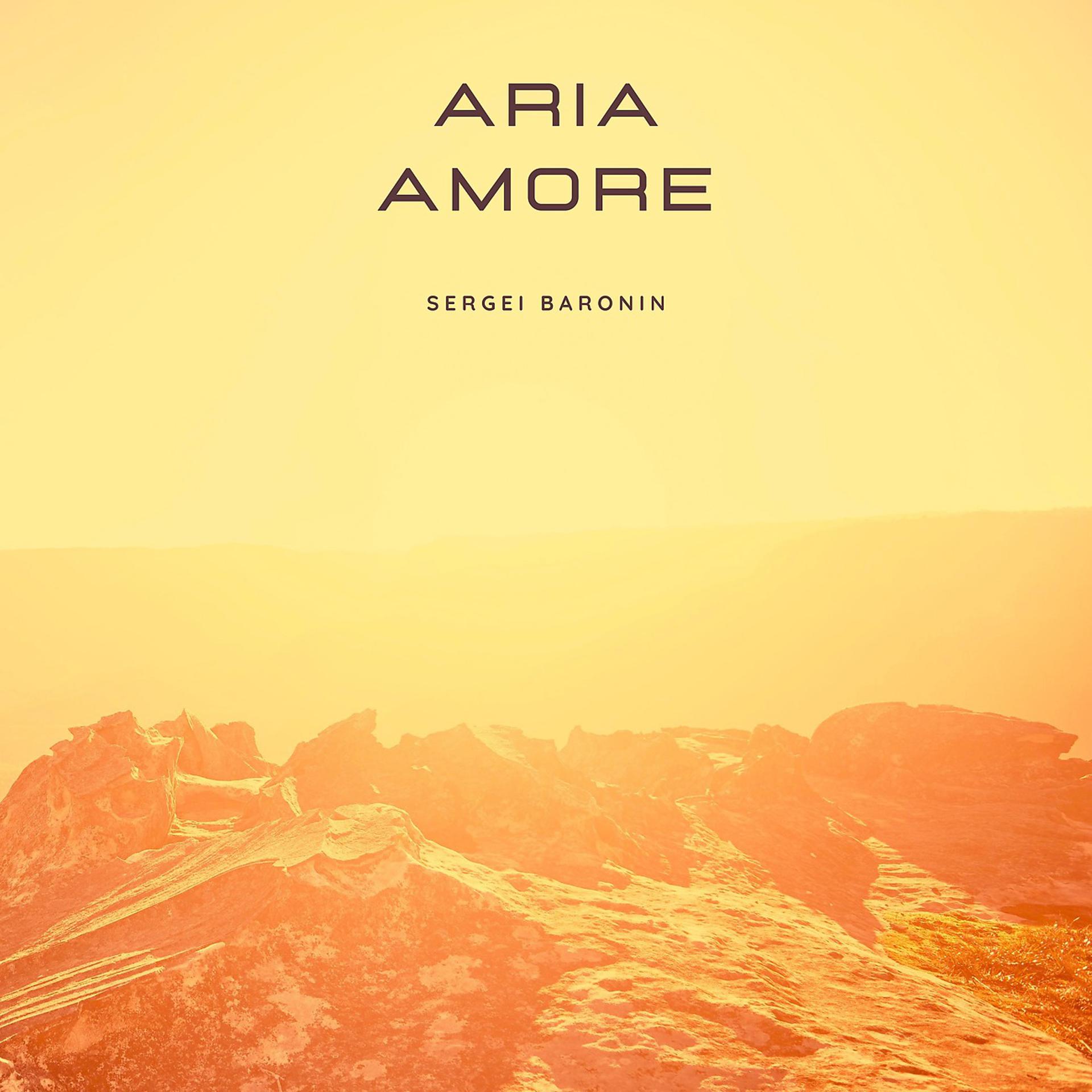 Постер альбома Aria Amore
