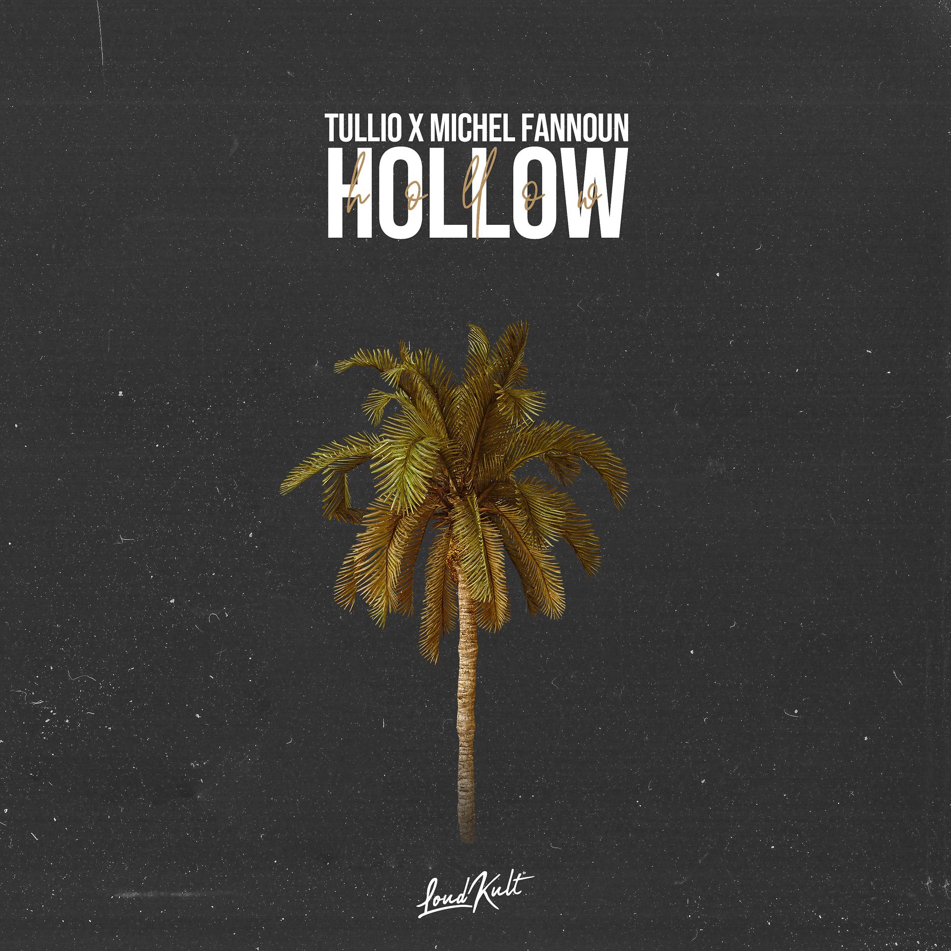 Постер альбома Hollow